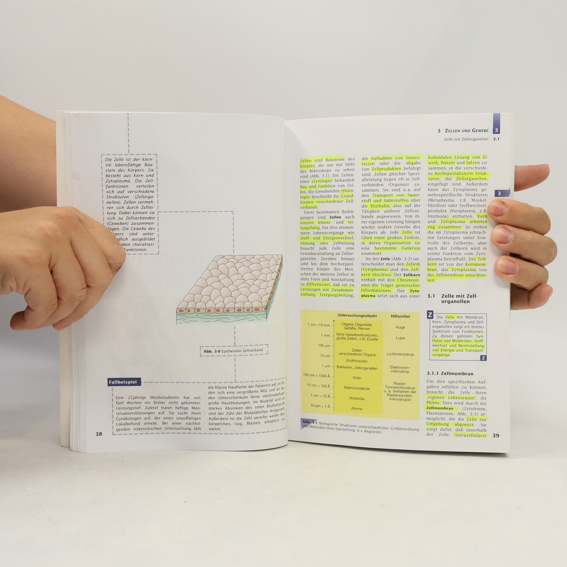 Erwin-Josef Speckmann Handbuch Anatomie