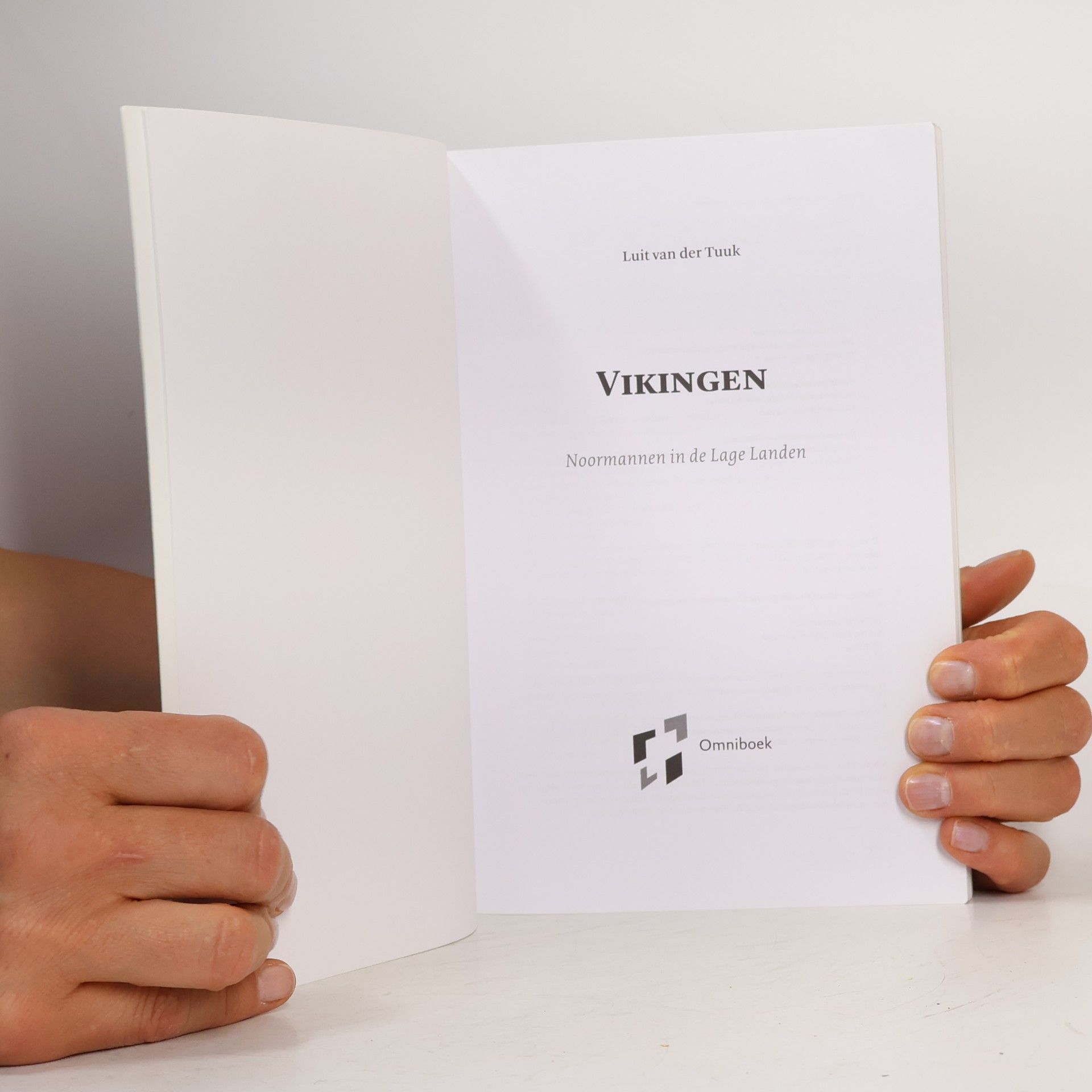 Luit van der Tuuk Vikingen, Noormannen in de Lage Landen