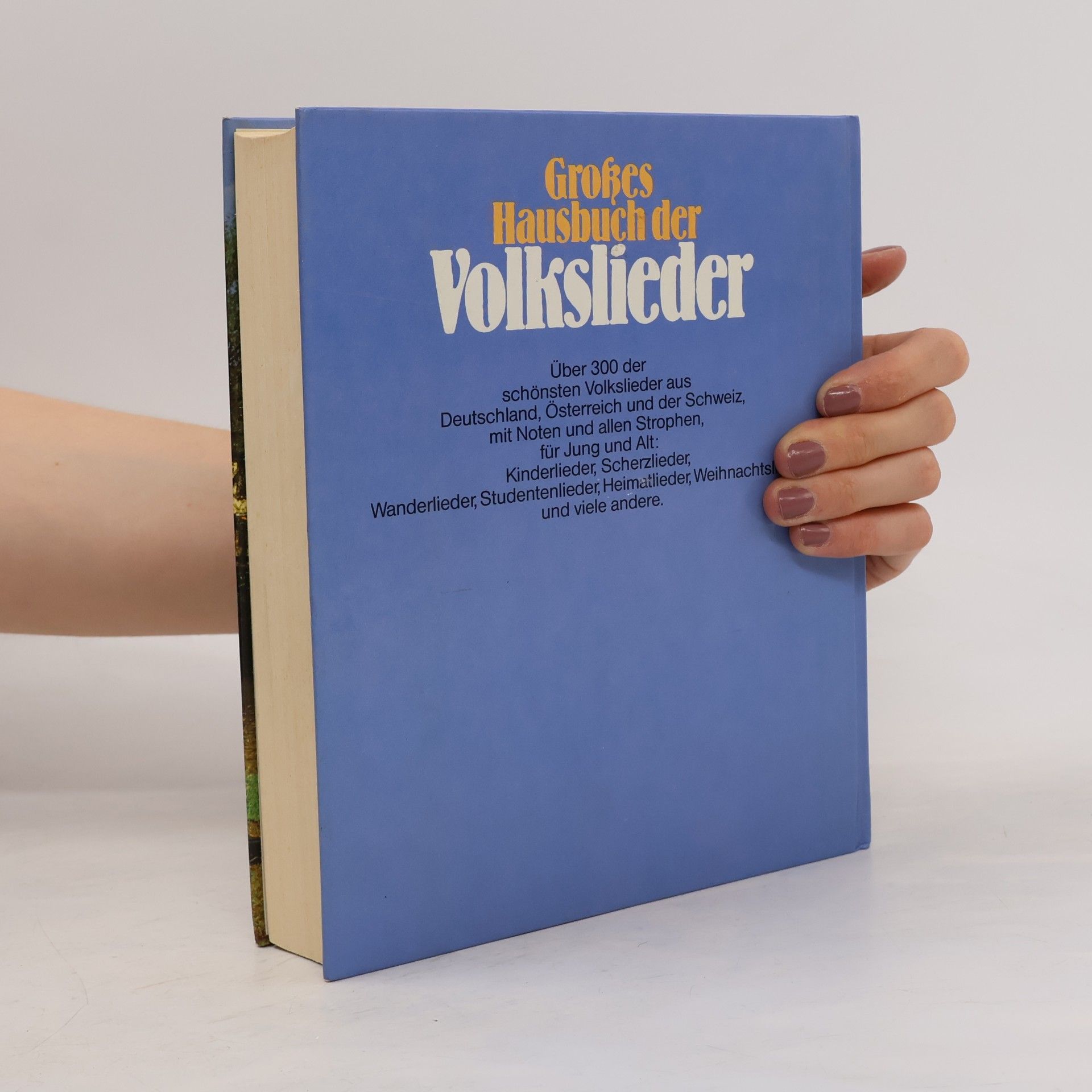 Auteurscollectief Großes Hausbuch der Volkslieder