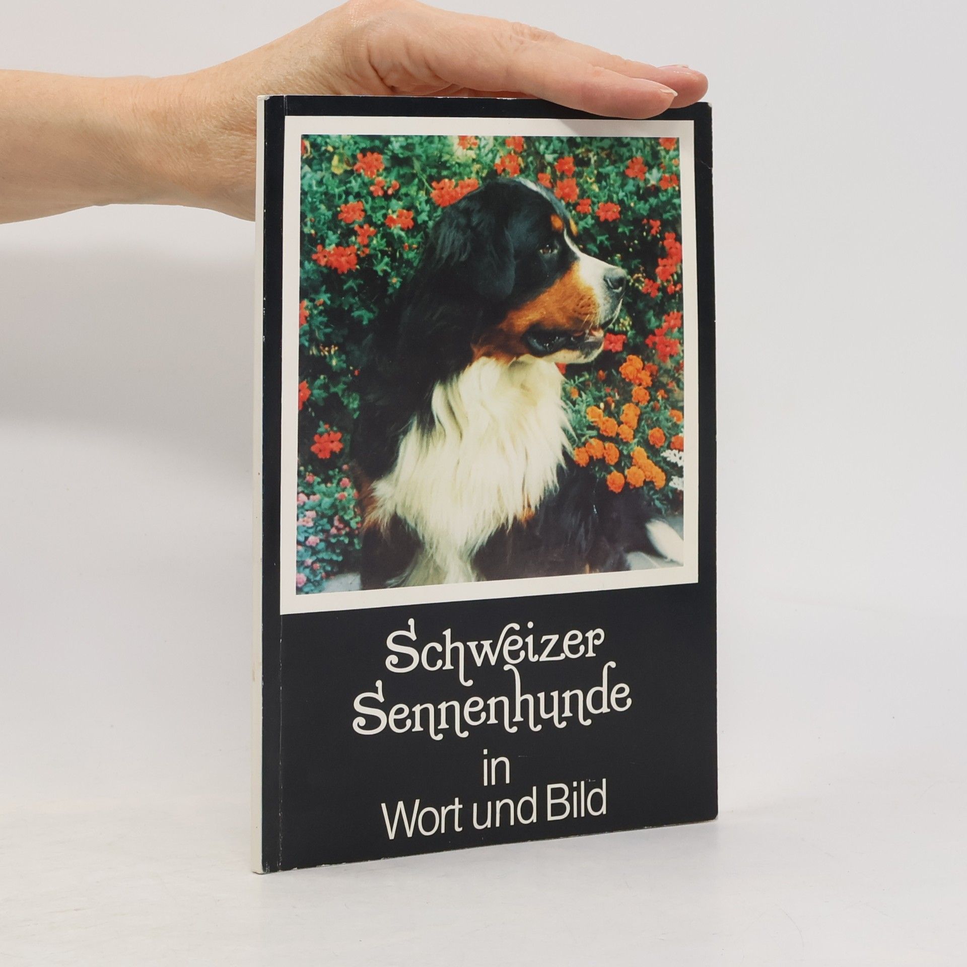 kolektiv Schweizer Sennenhunde in Wort und Bild