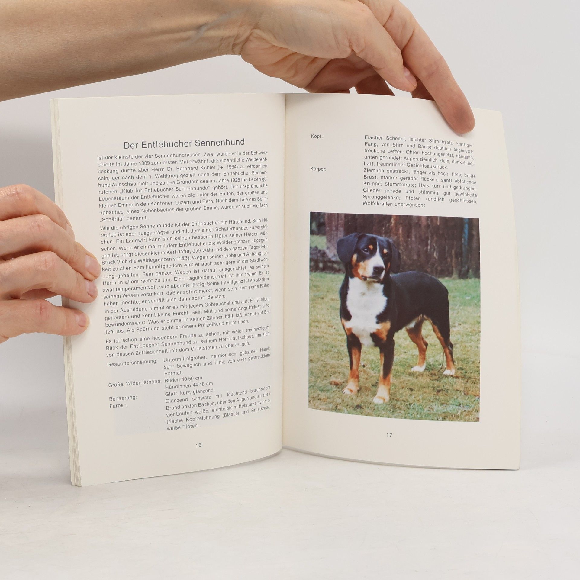 kolektiv Schweizer Sennenhunde in Wort und Bild