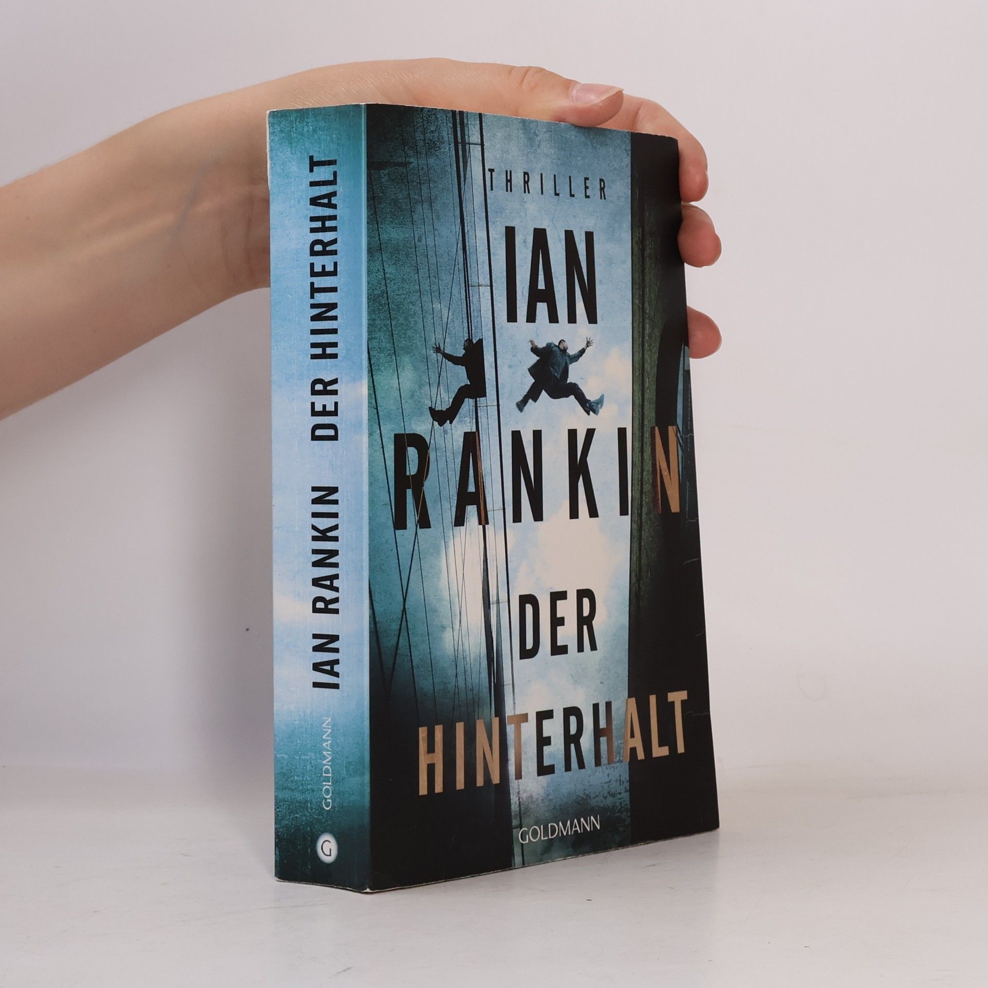 Der Hinterhalt
