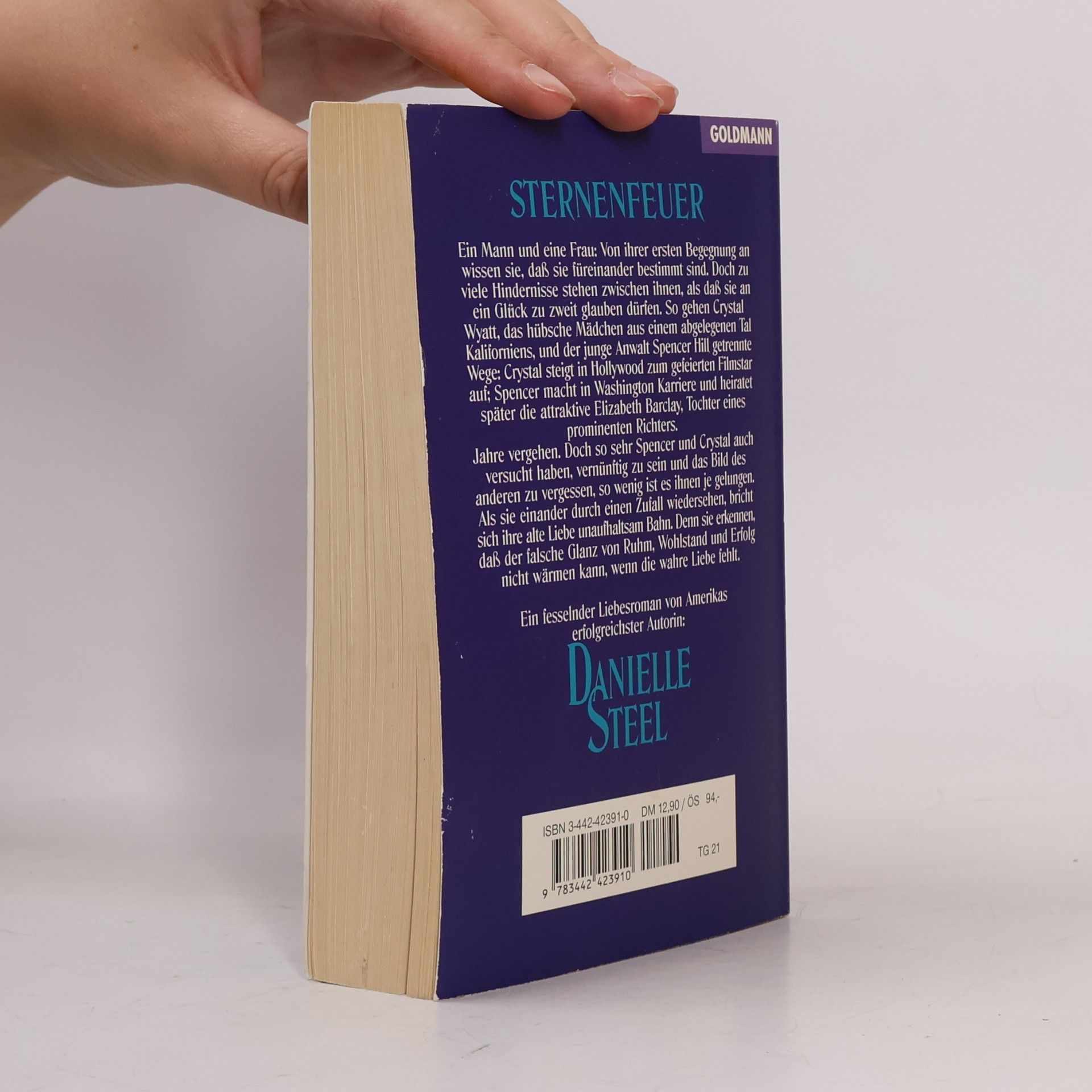 Danielle Steel Sternenfeuer