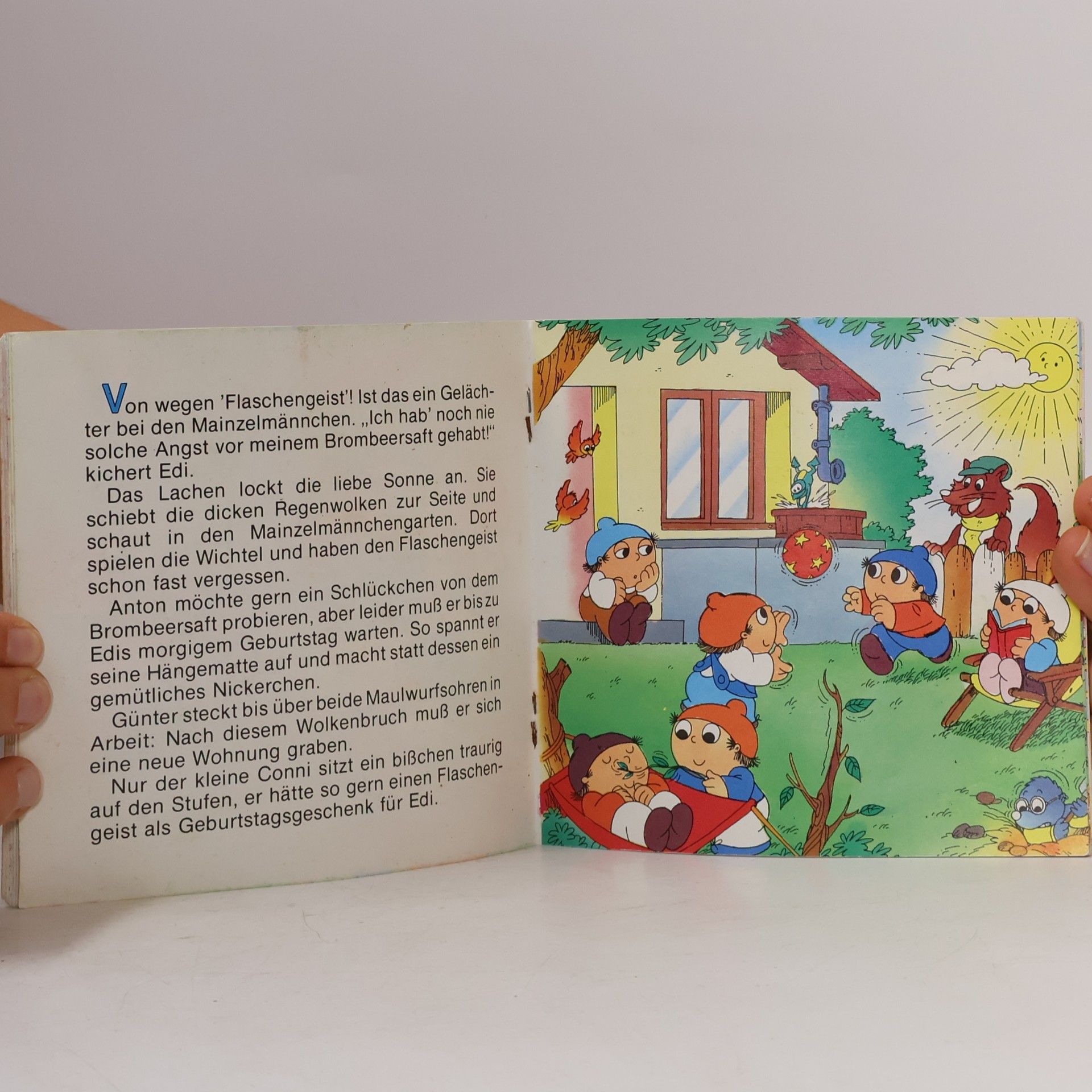 Autorenkollektiv Die Mainzelmännchen 43