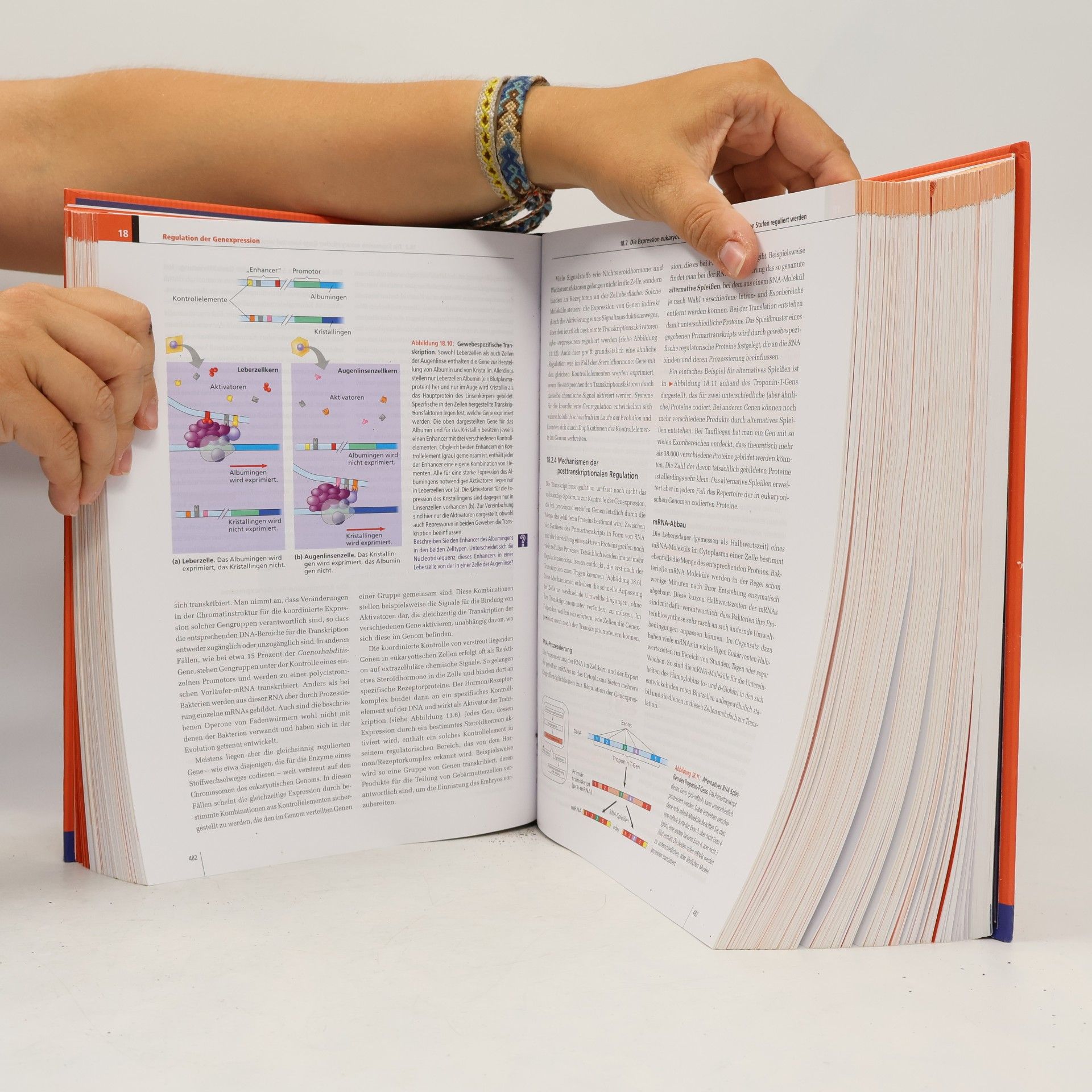 Neil A. Campbell Biologie