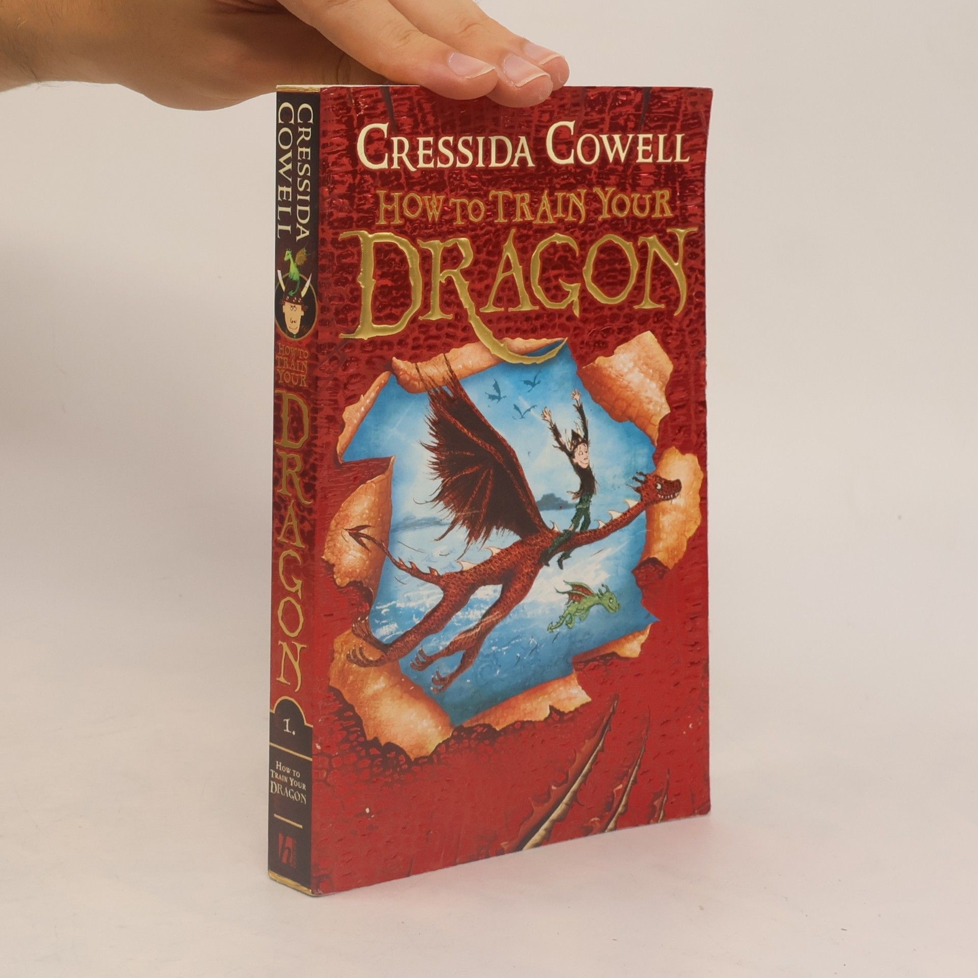 How to train your dragon