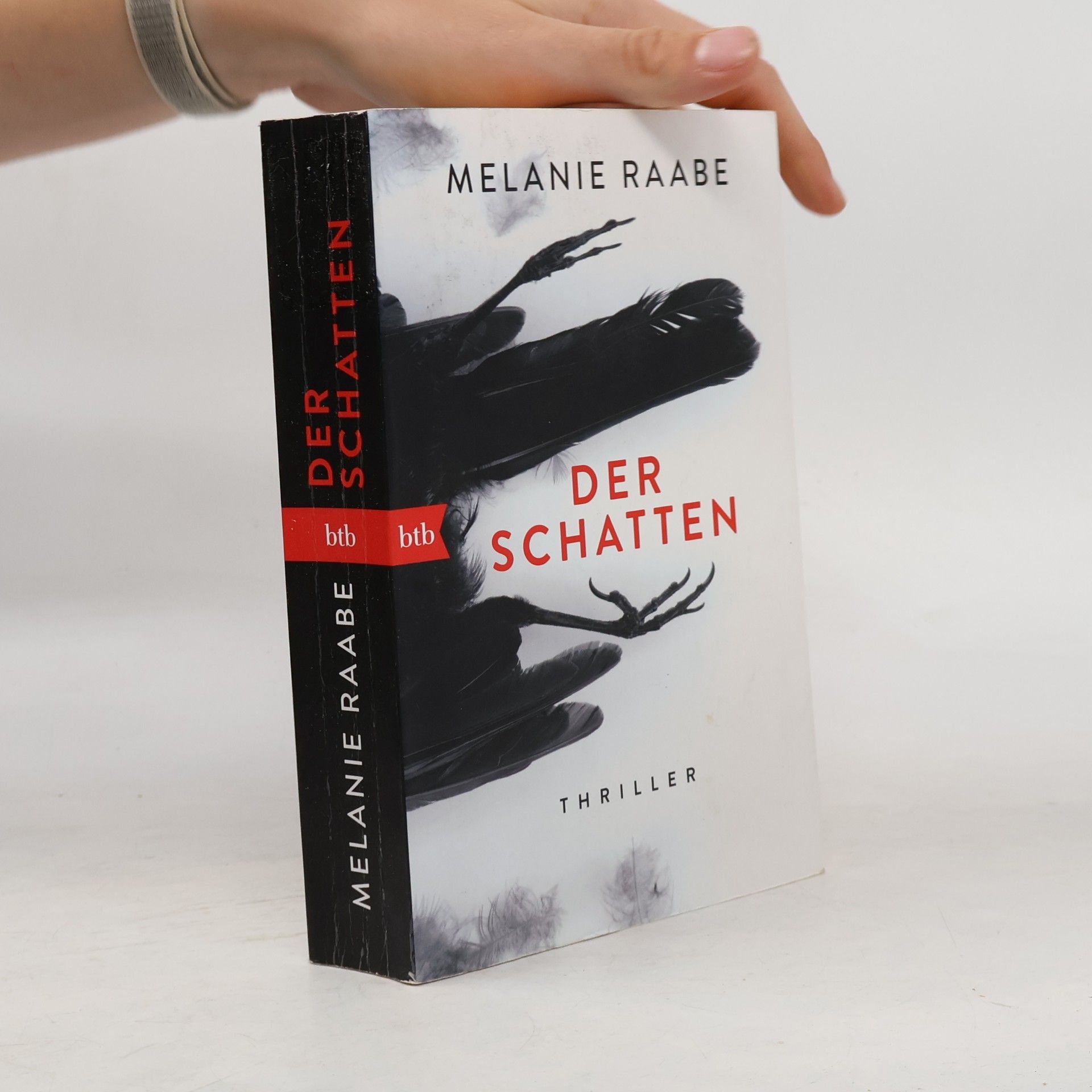 Melanie Raabe Der Schatten