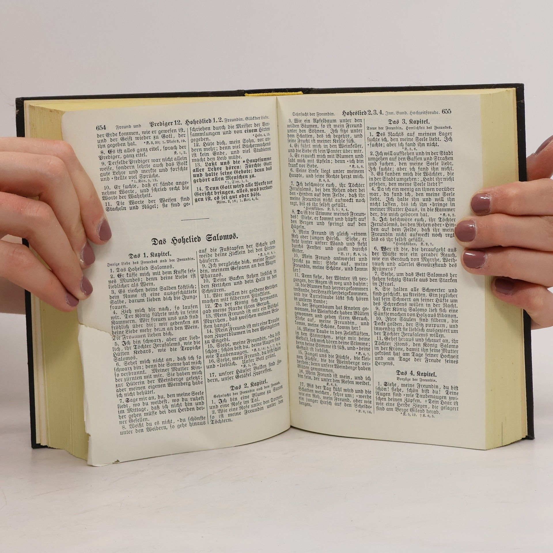 Autorenkollektiv Die Heilige Schrift