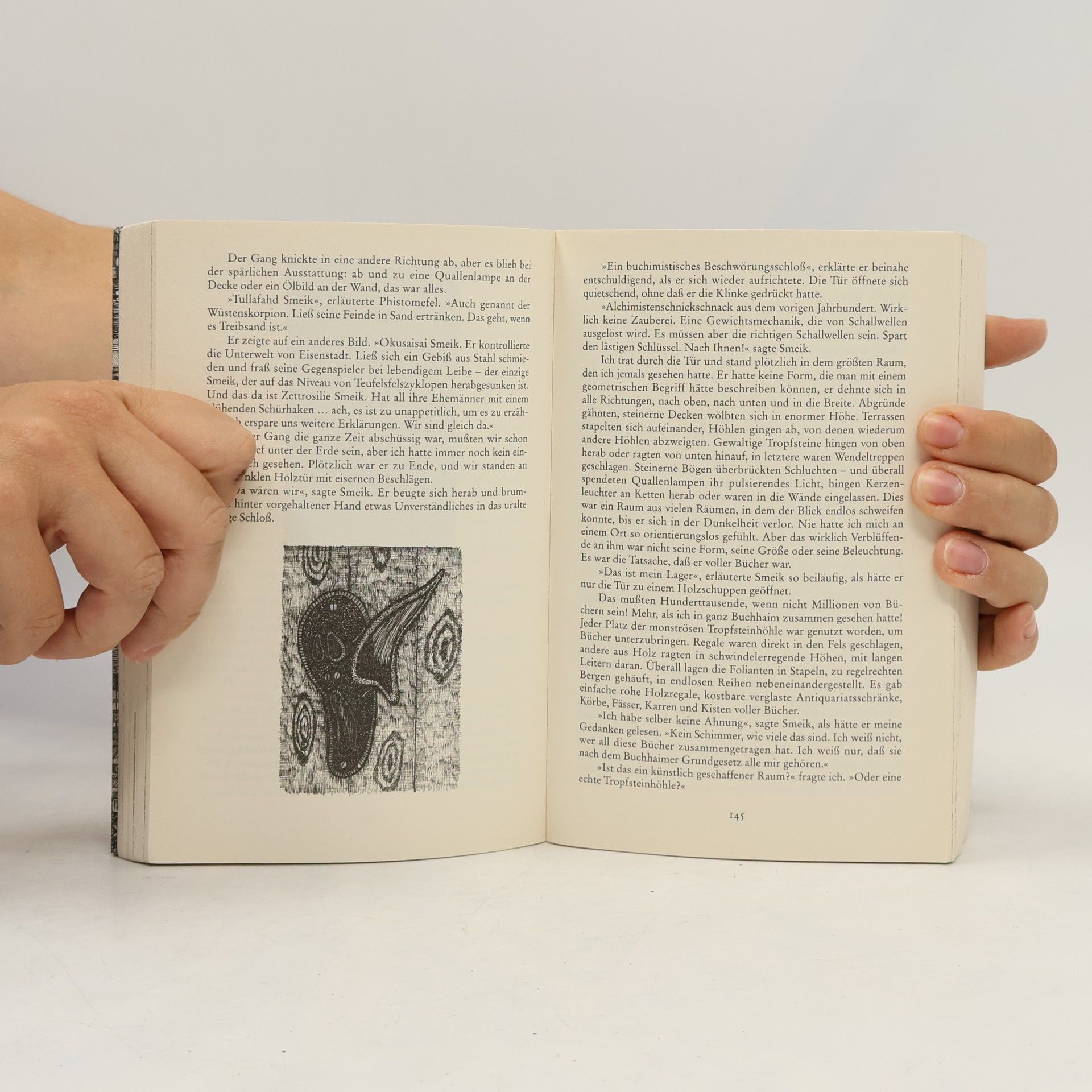 Walter Moers Die Stadt der Träumenden Bücher