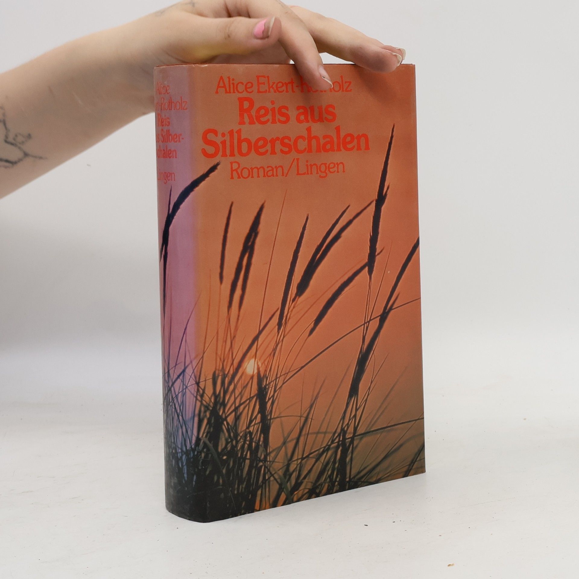 Alice Ekert-Rotholz Reis aus Silberschalen