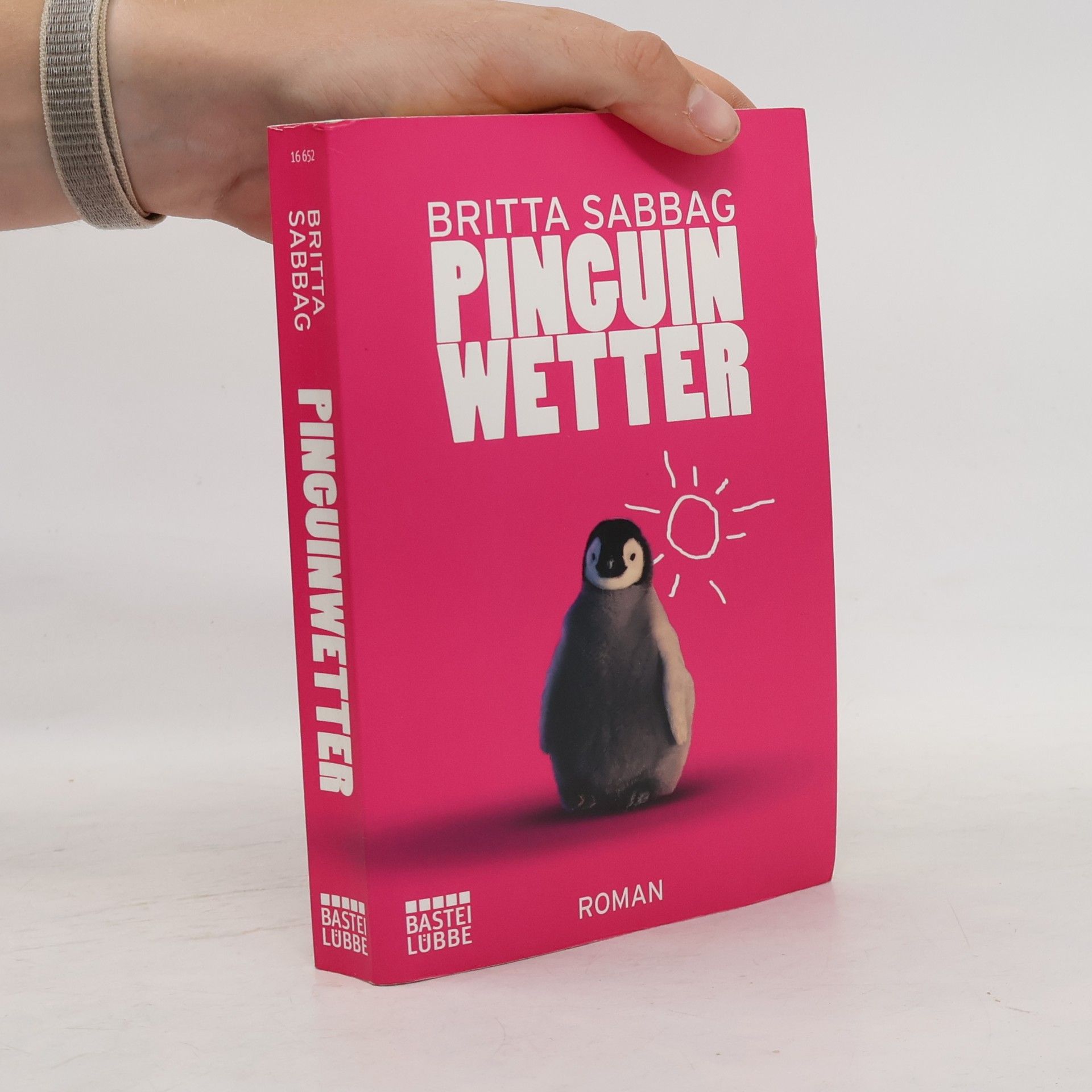 Britta Sabbag Pinguinwetter