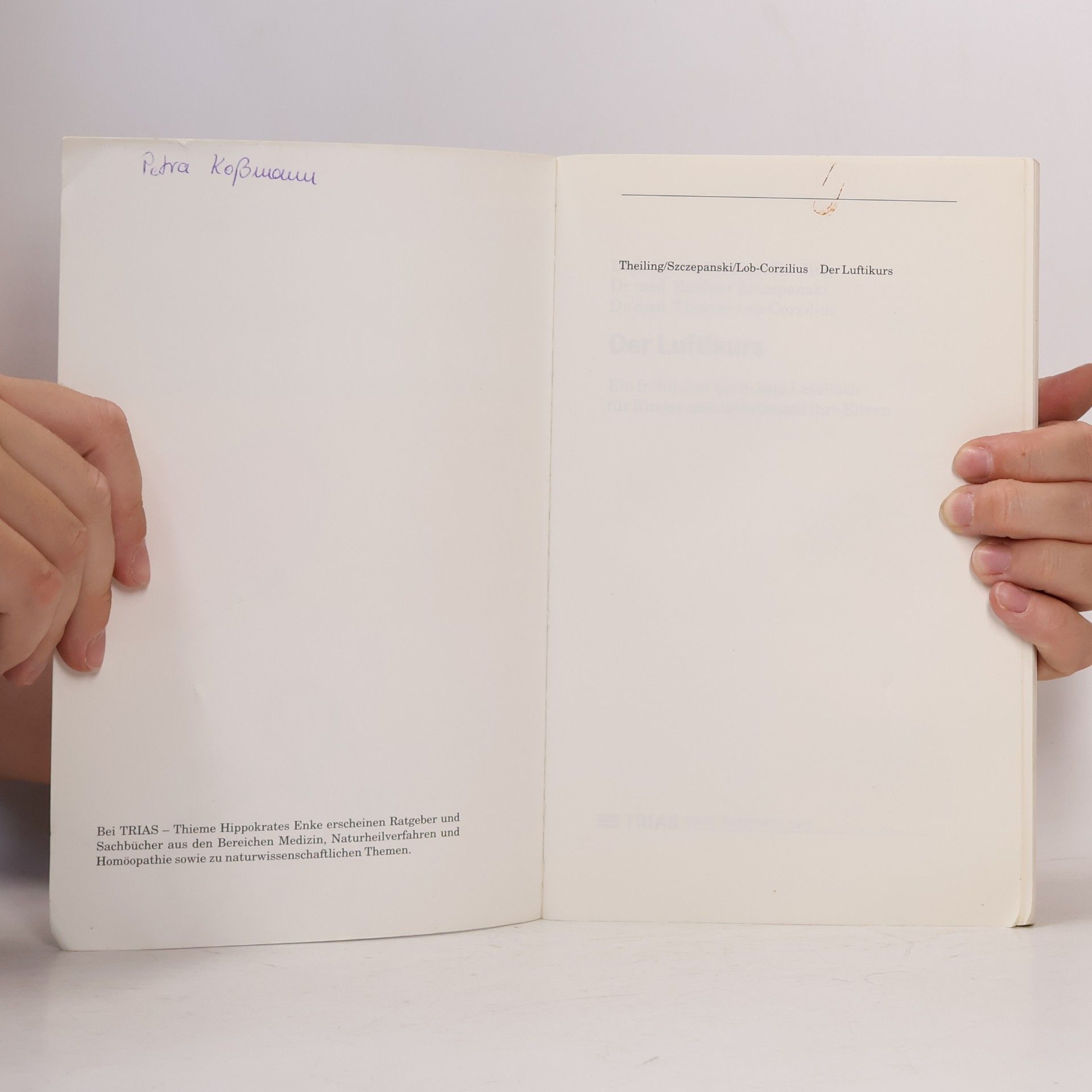 Stephan Theiling Der Luftikurs