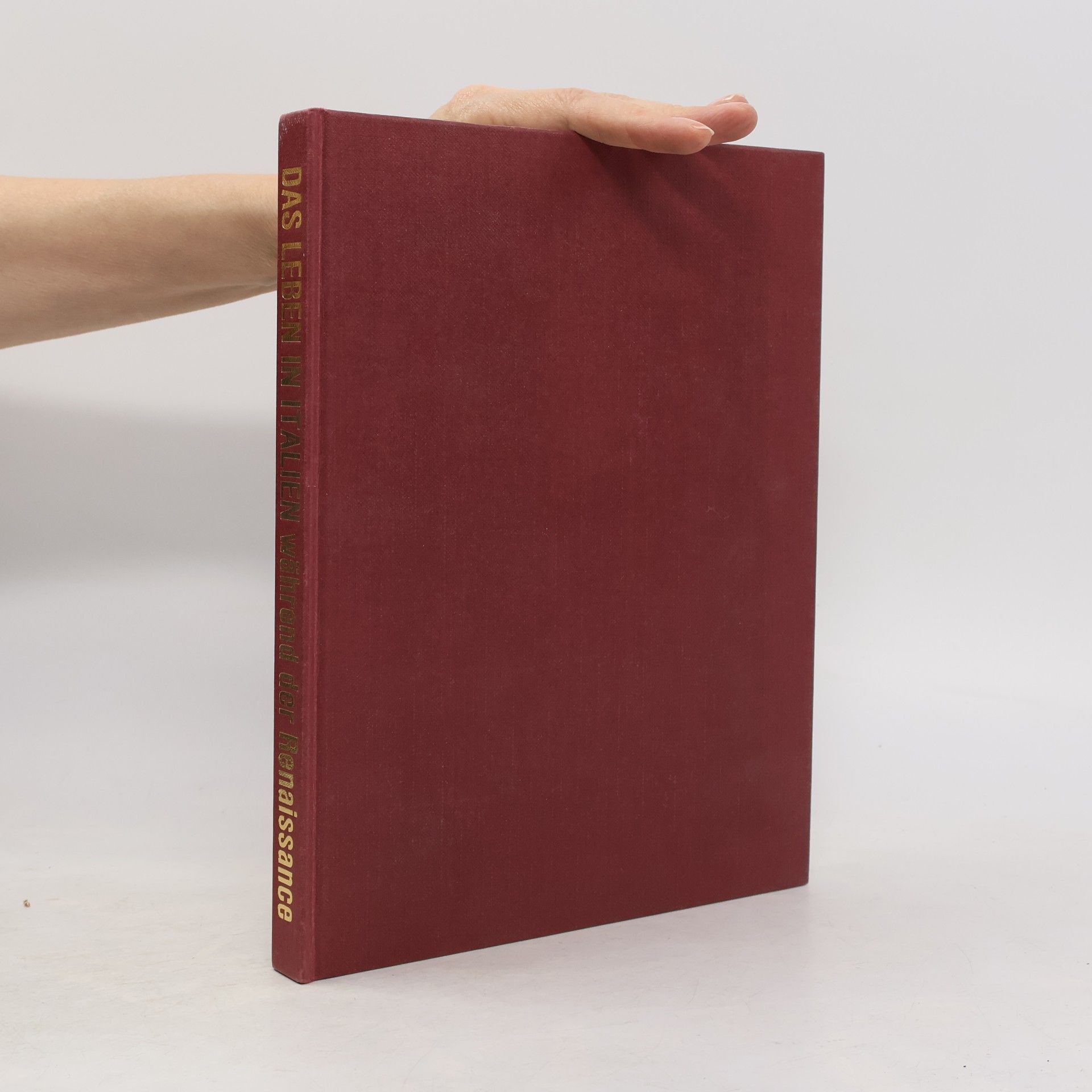 Autorenkollektiv Das Leben in Italien während der Renaissance