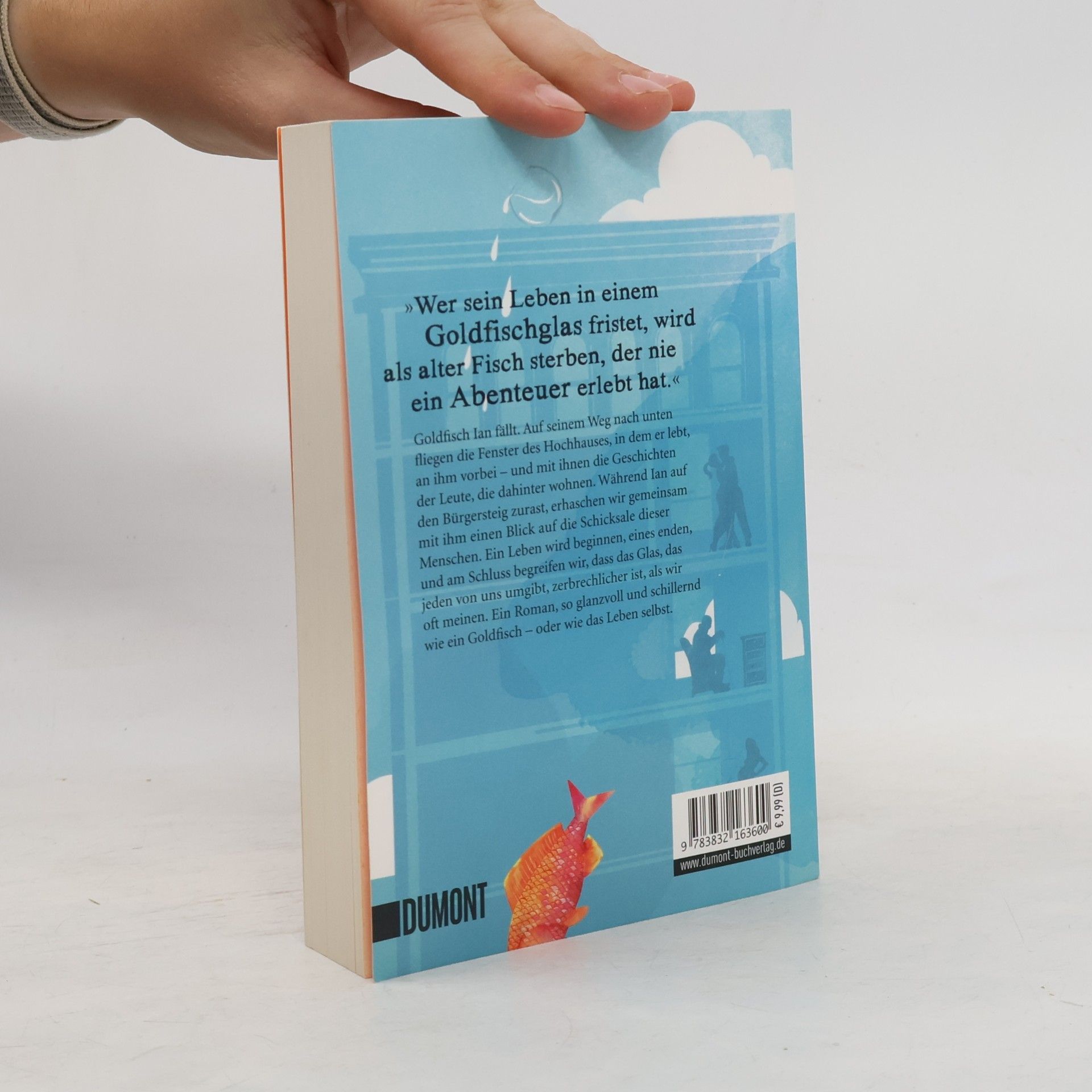 Bradley Somer Der Tag, an dem der Goldfisch aus dem 27. Stock fiel