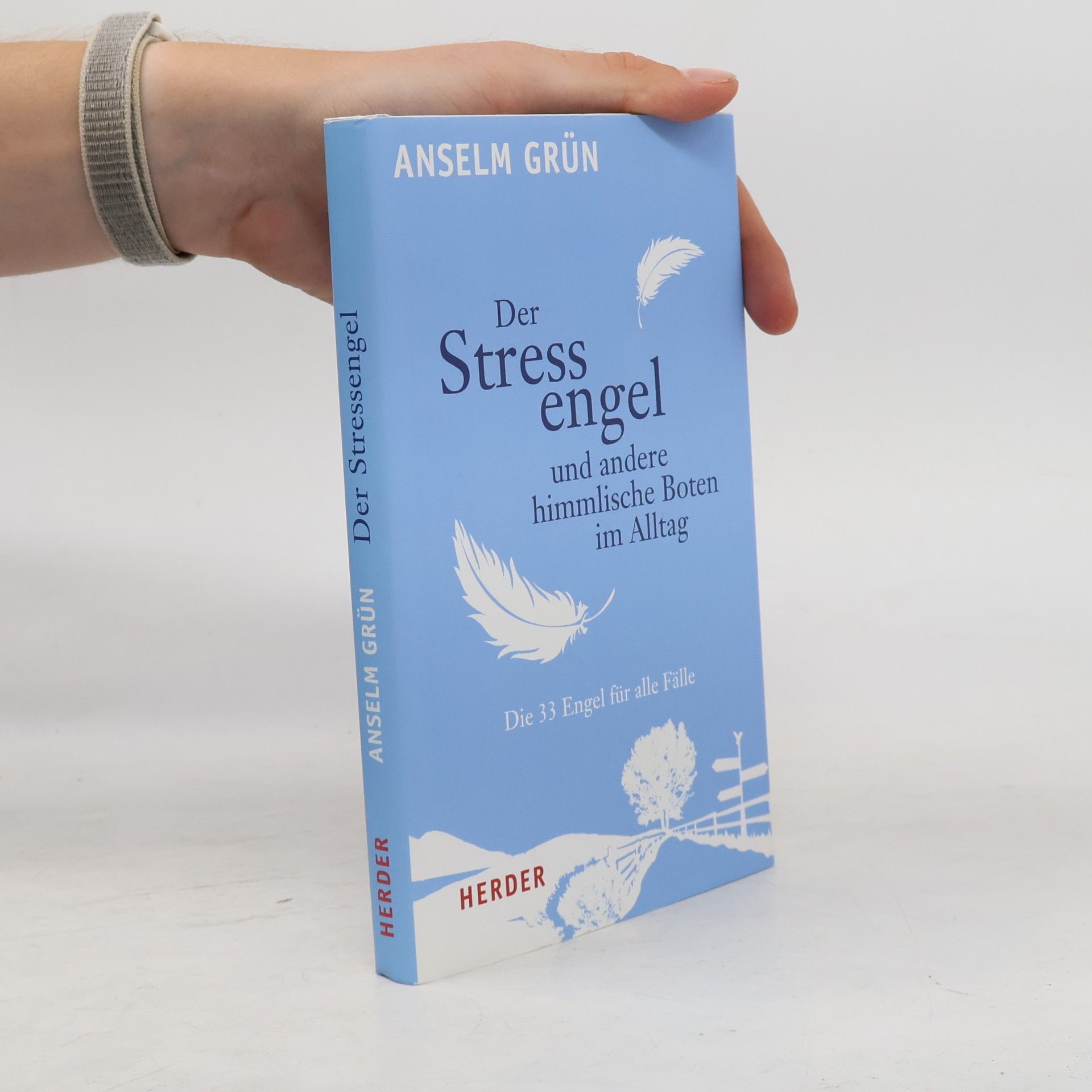 Anselm Grün Der Stressengel und andere himmlische Boten