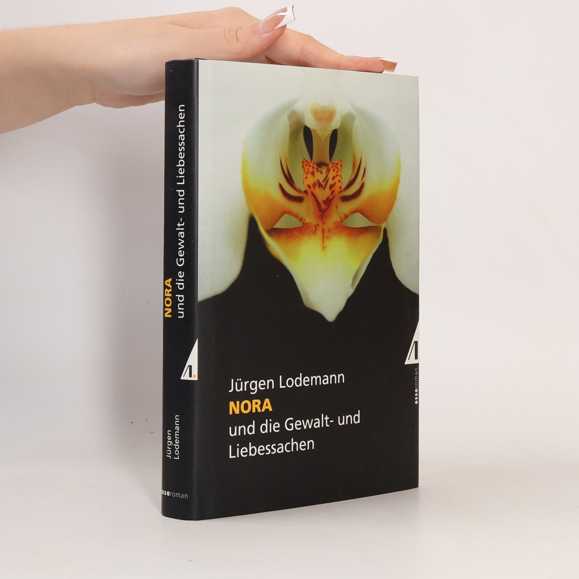 Jürgen Lodemann  Nora und die Gewalt- und Liebessachen. und die Gewalt- und Liebessachen