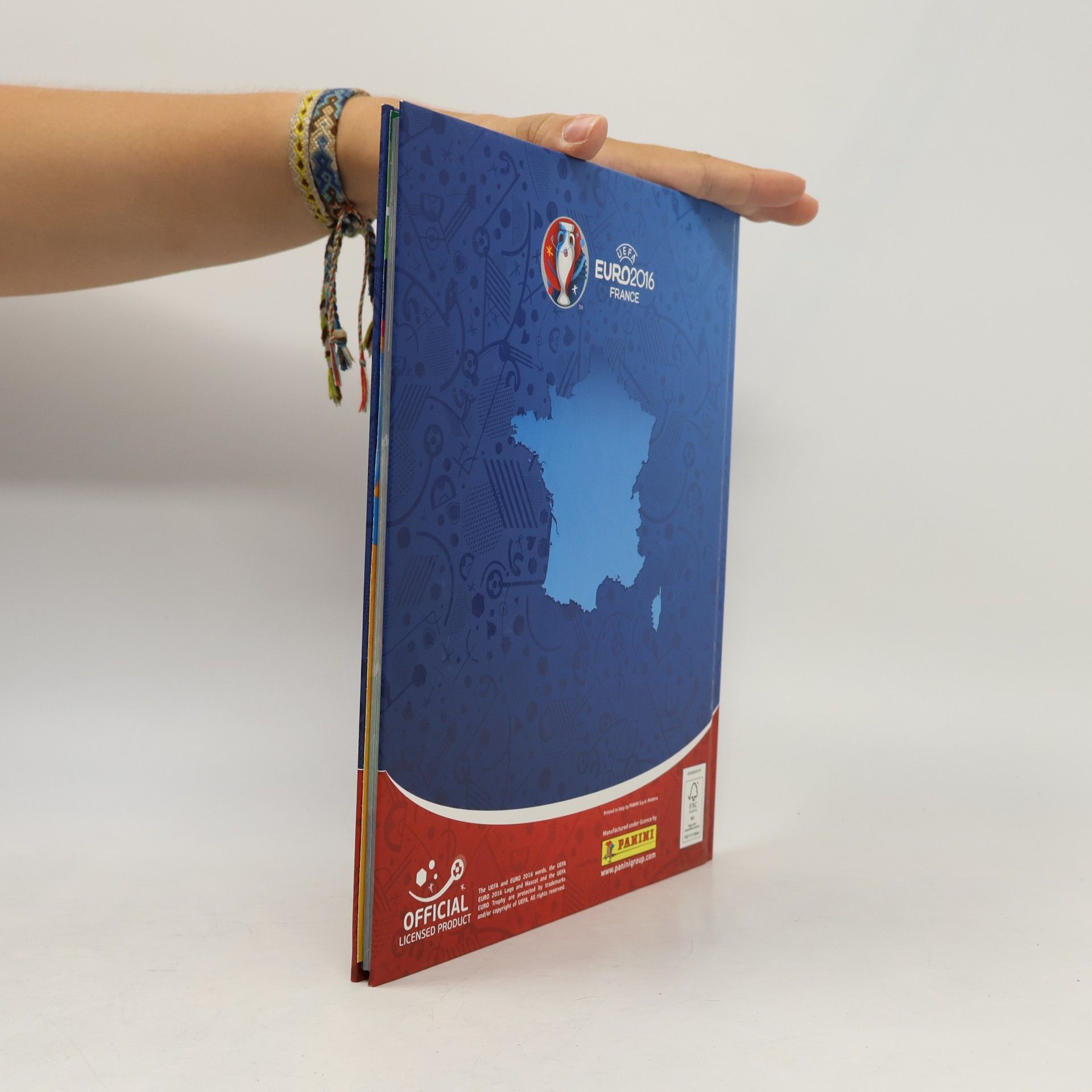 Autorenkollektiv UEFA Euro2016. France