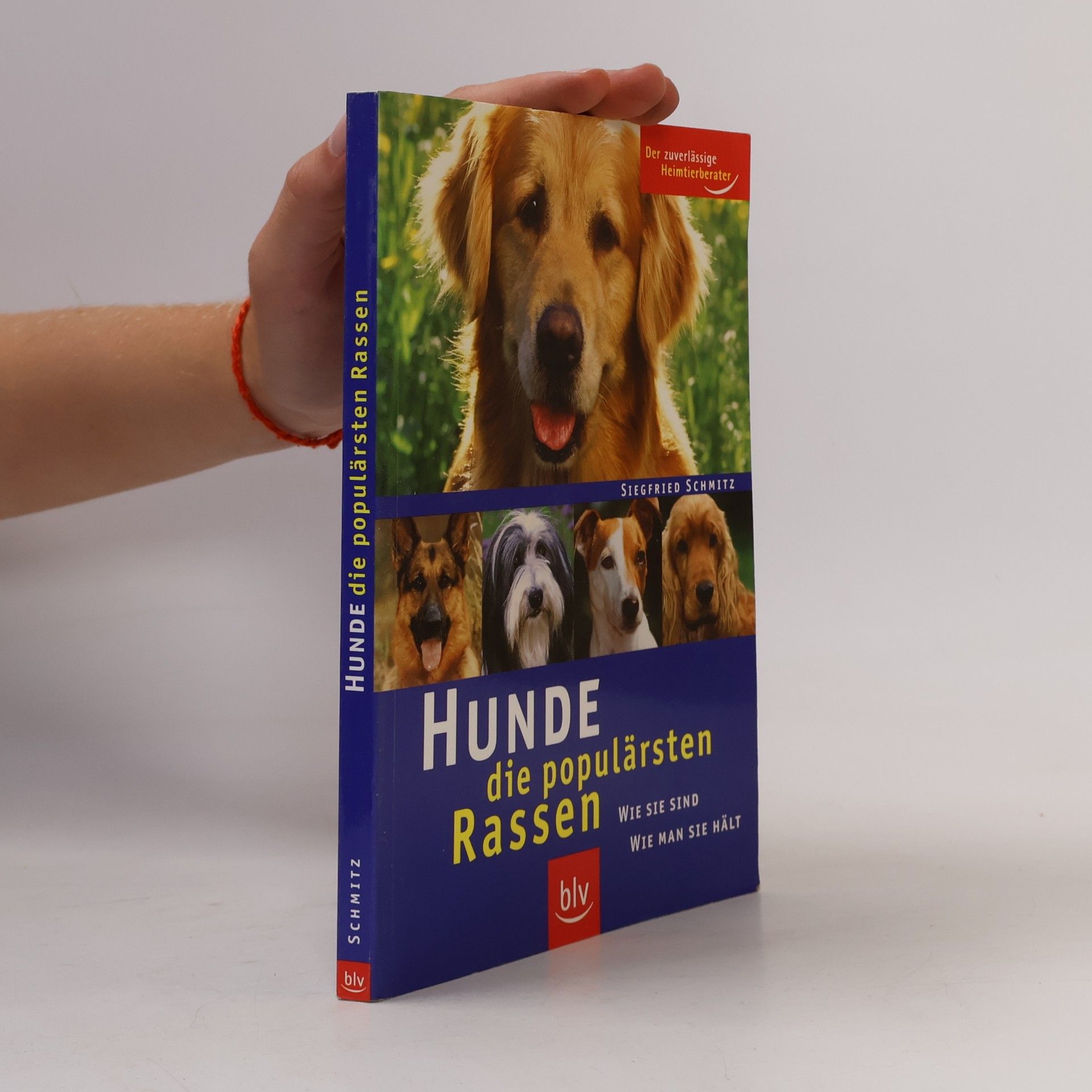 Hunde - die populärsten Rassen