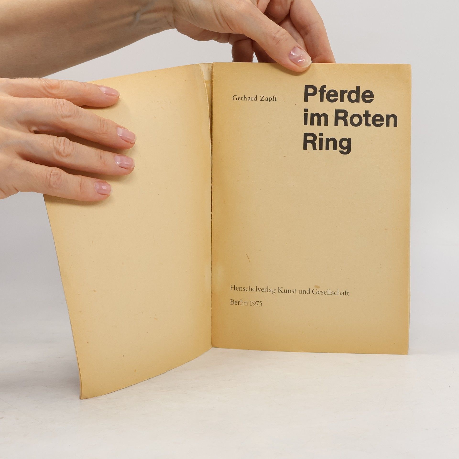 Gerhard Zapff Pferde im roten Ring