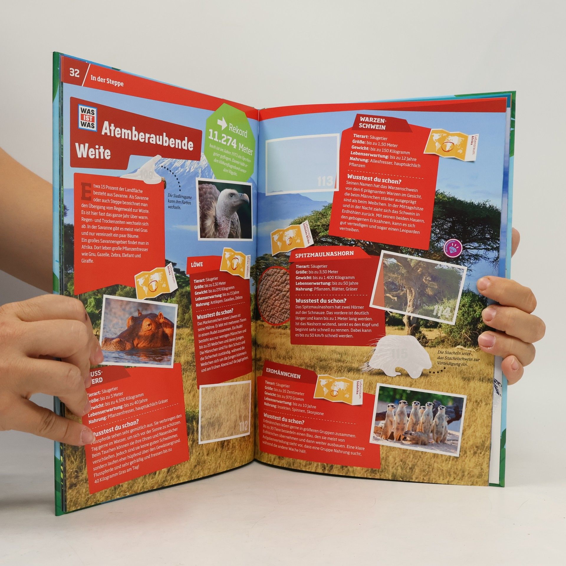 Various authors Abenteuer Tierwelt