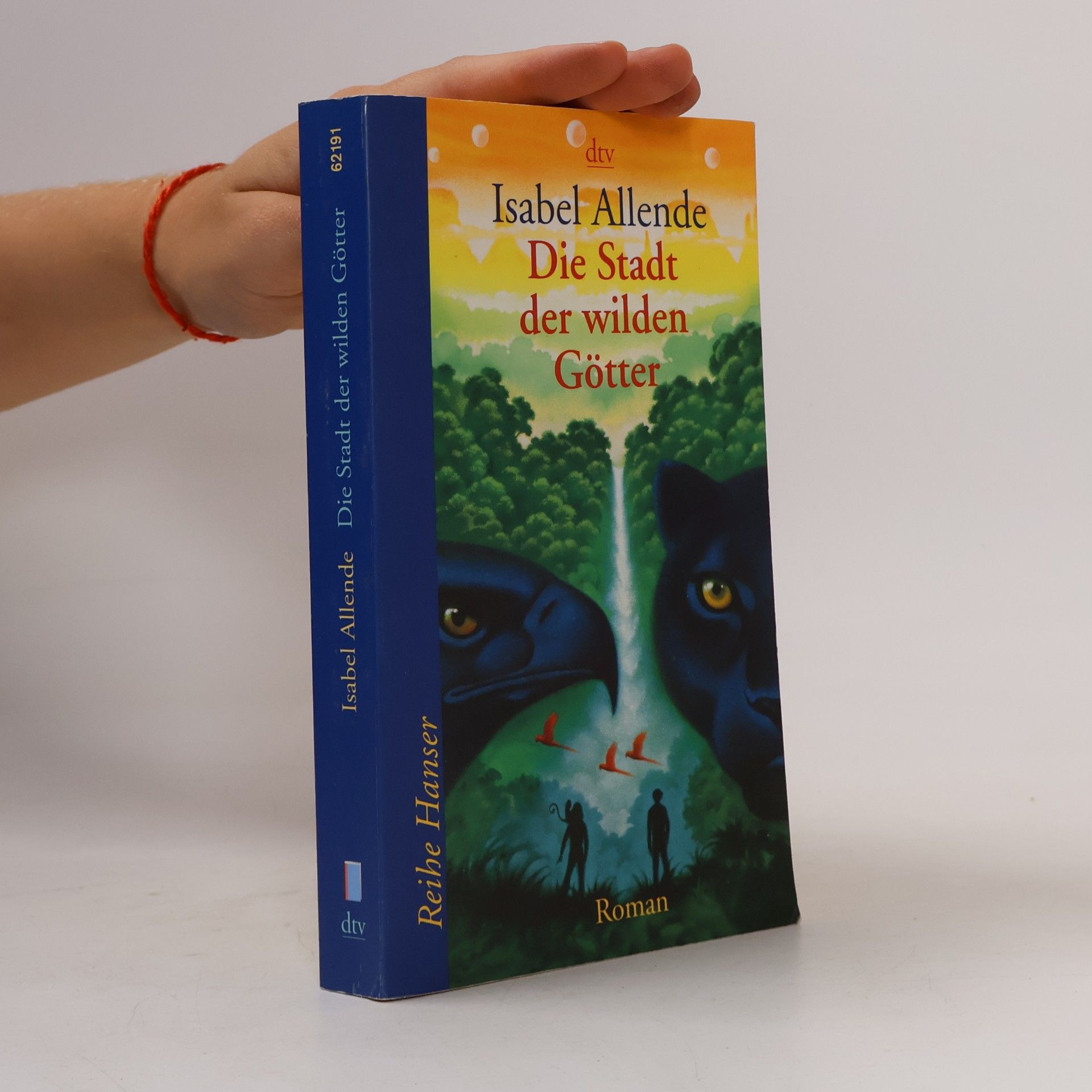 Isabel Allende Die Stadt der wilden Götter