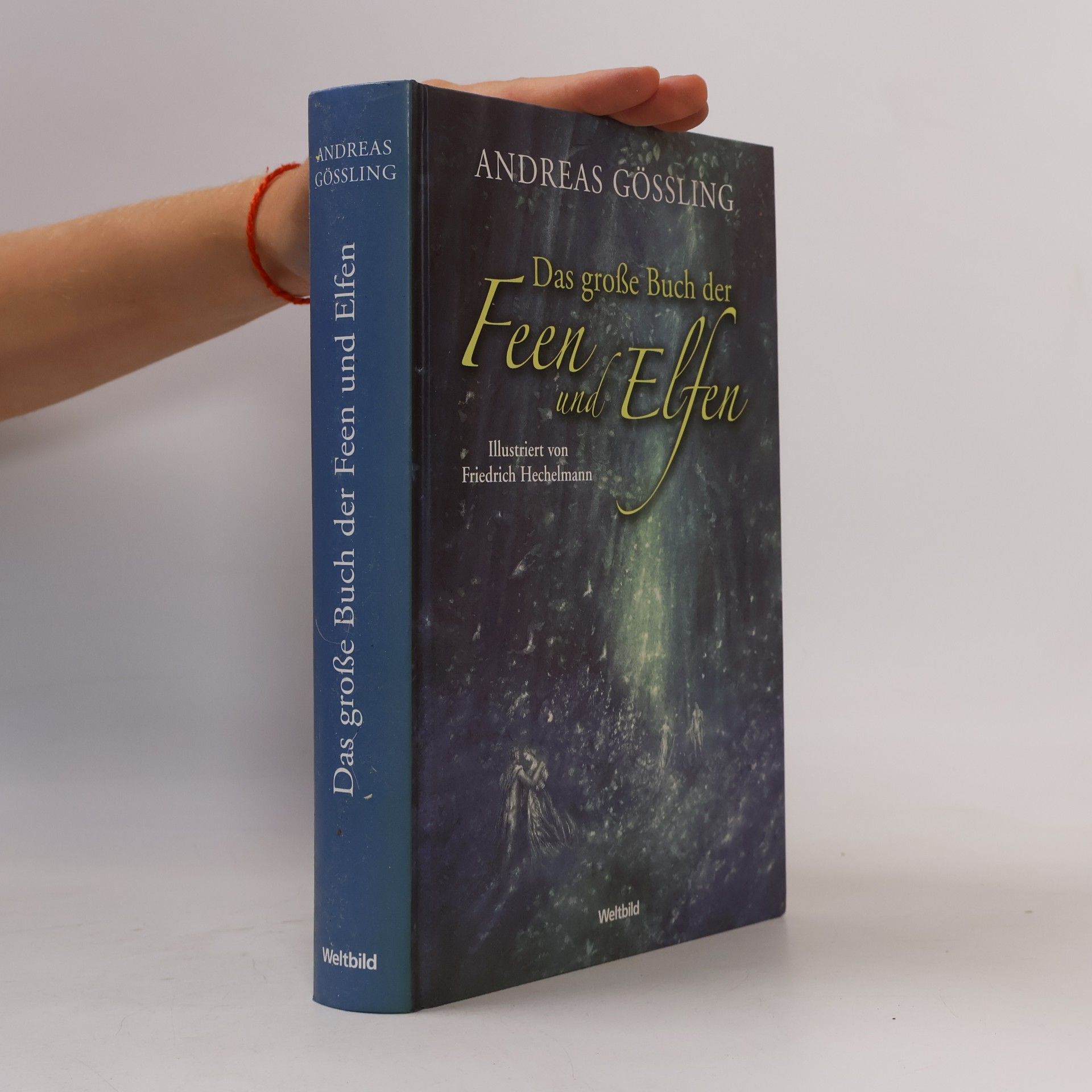 Das große Buch der Feen und Elfen