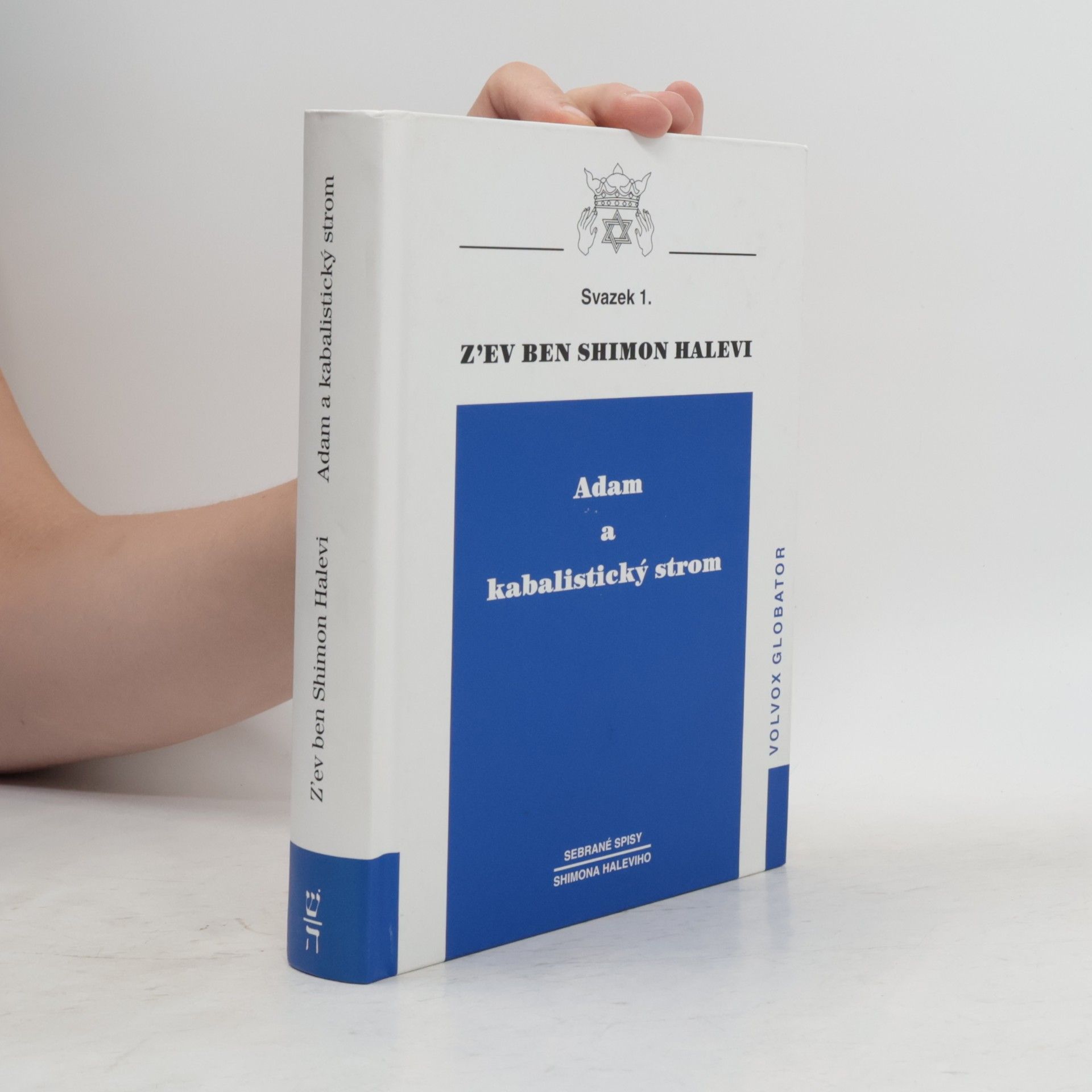 Zev Ben-Shimon Halevi Adam a kabalistický strom