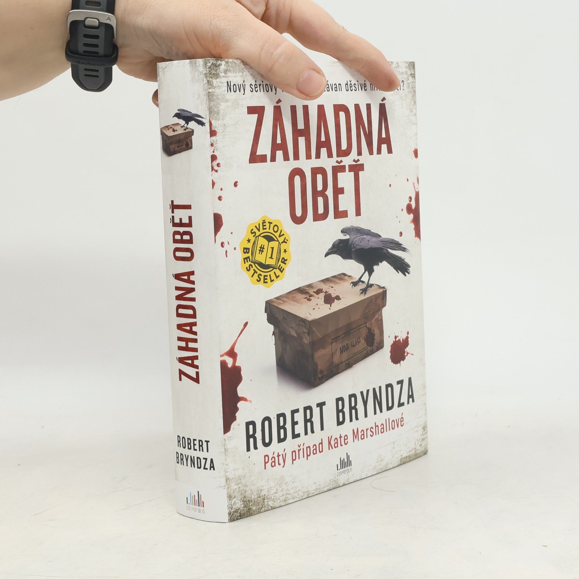Robert Bryndza Záhadná oběť