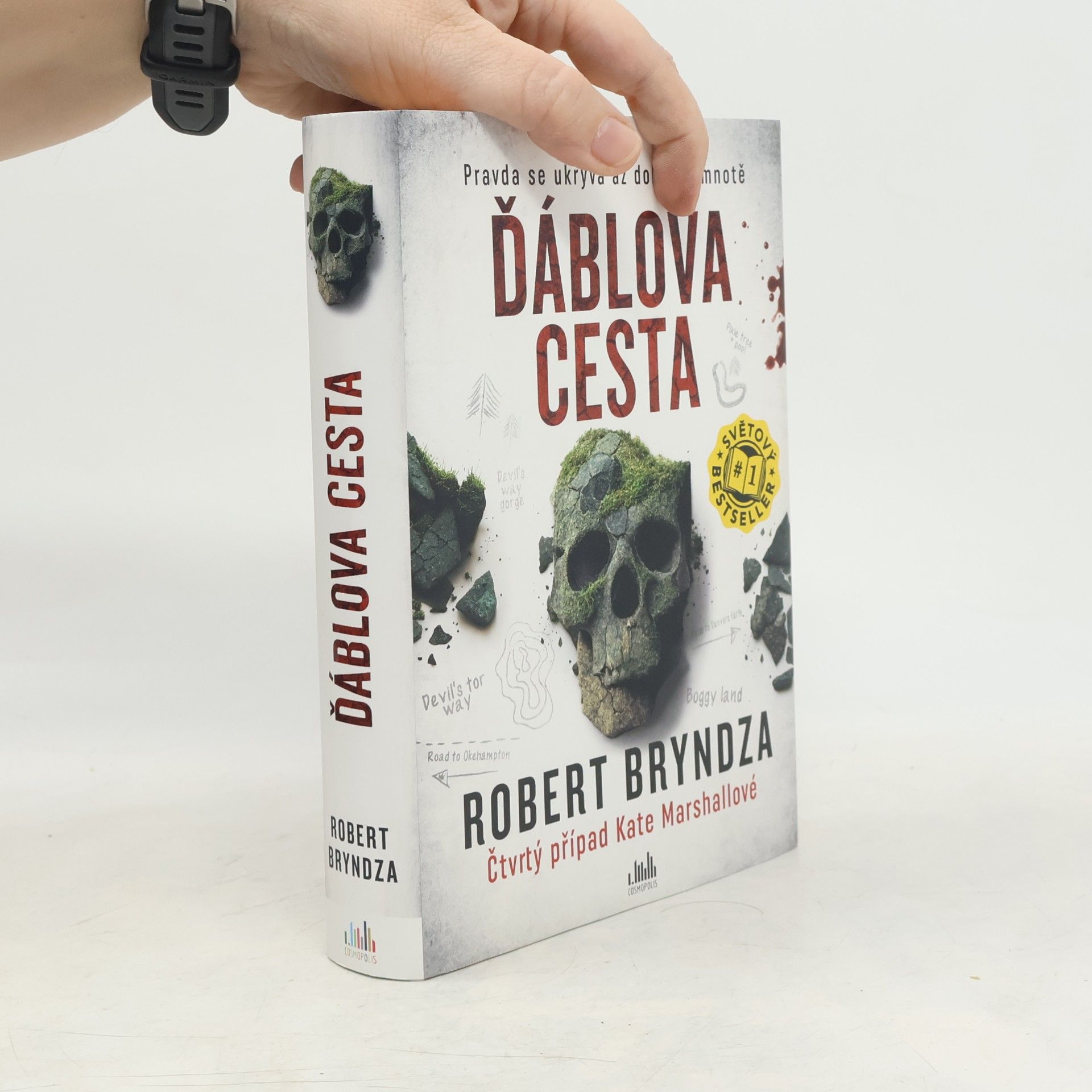 Robert Bryndza Ďáblova cesta