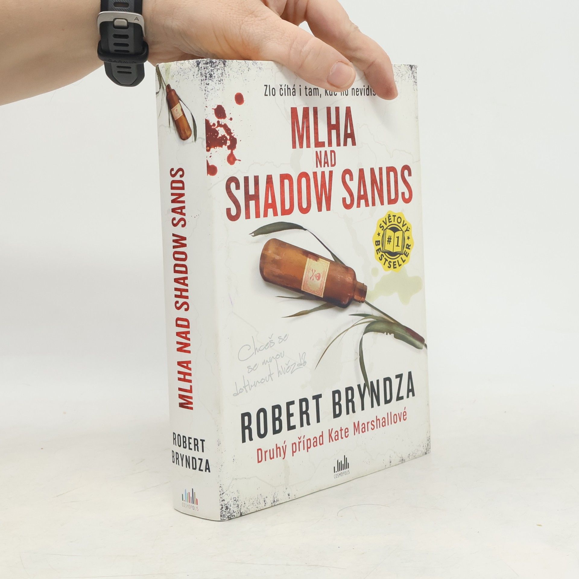 Robert Bryndza Mlha nad Shadow Sands
