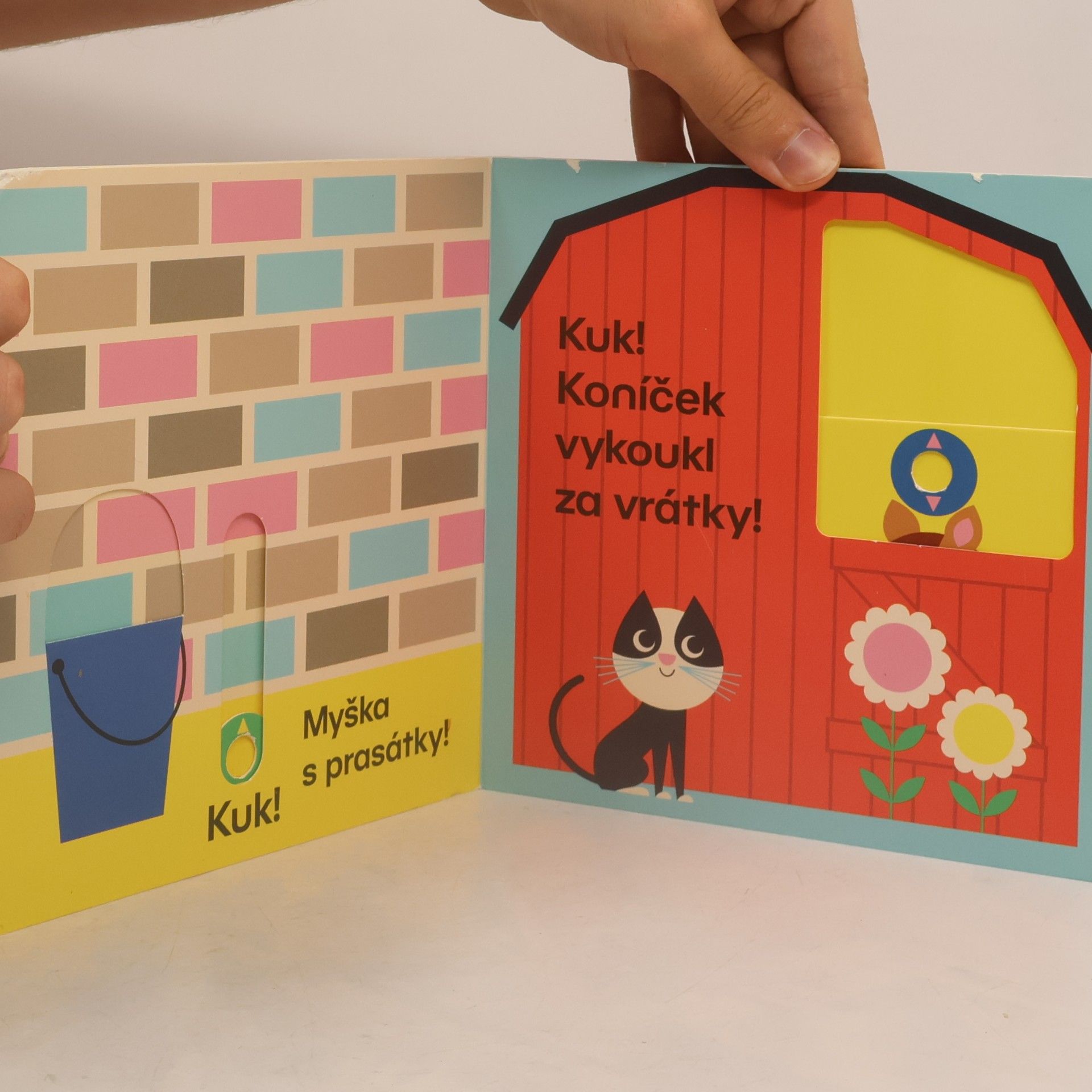 Camilla Reid Kuk! Kdo se schoval? Hledej mě na farmě!
