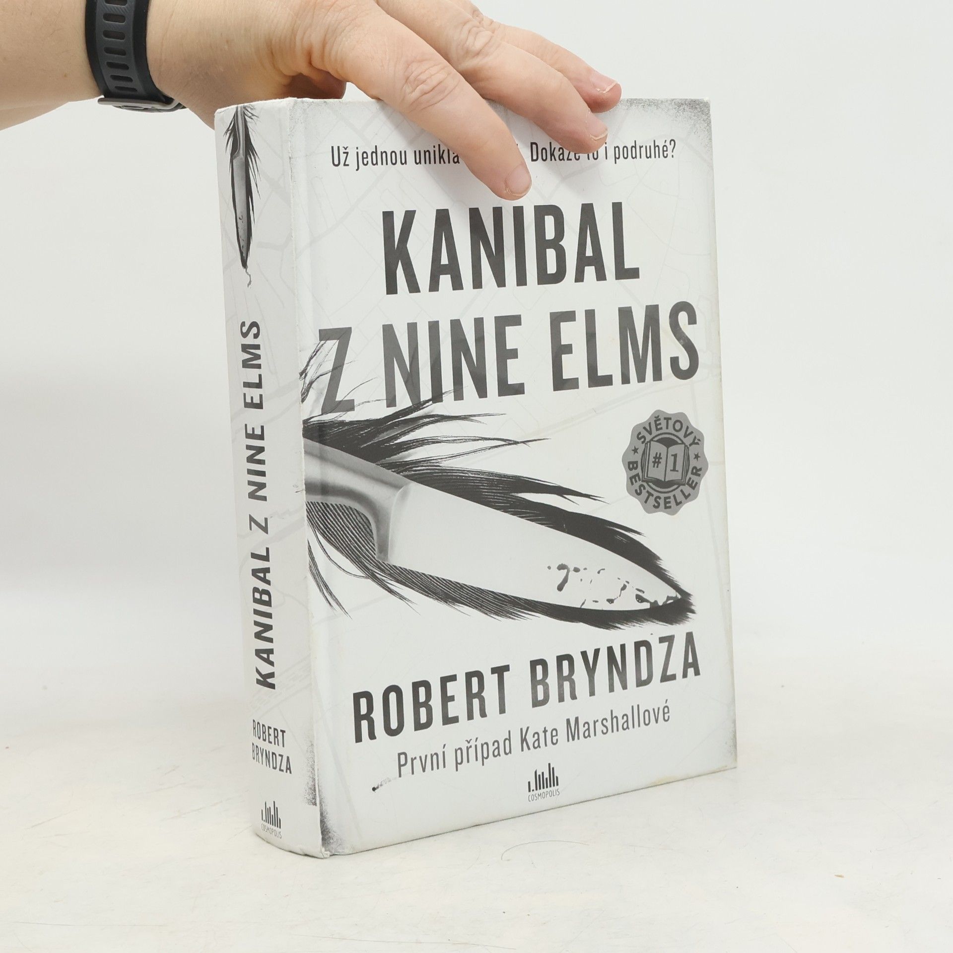 Robert Bryndza Kanibal z Nine Elms
