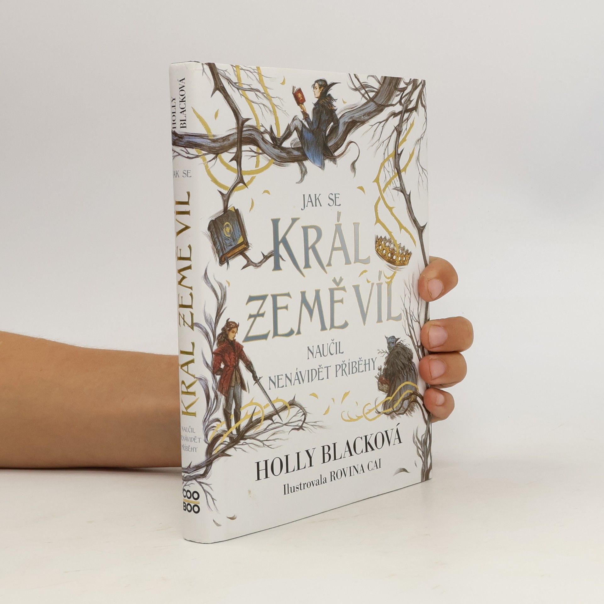 Holly Black Jak se král Země víl naučil nenávidět příběhy