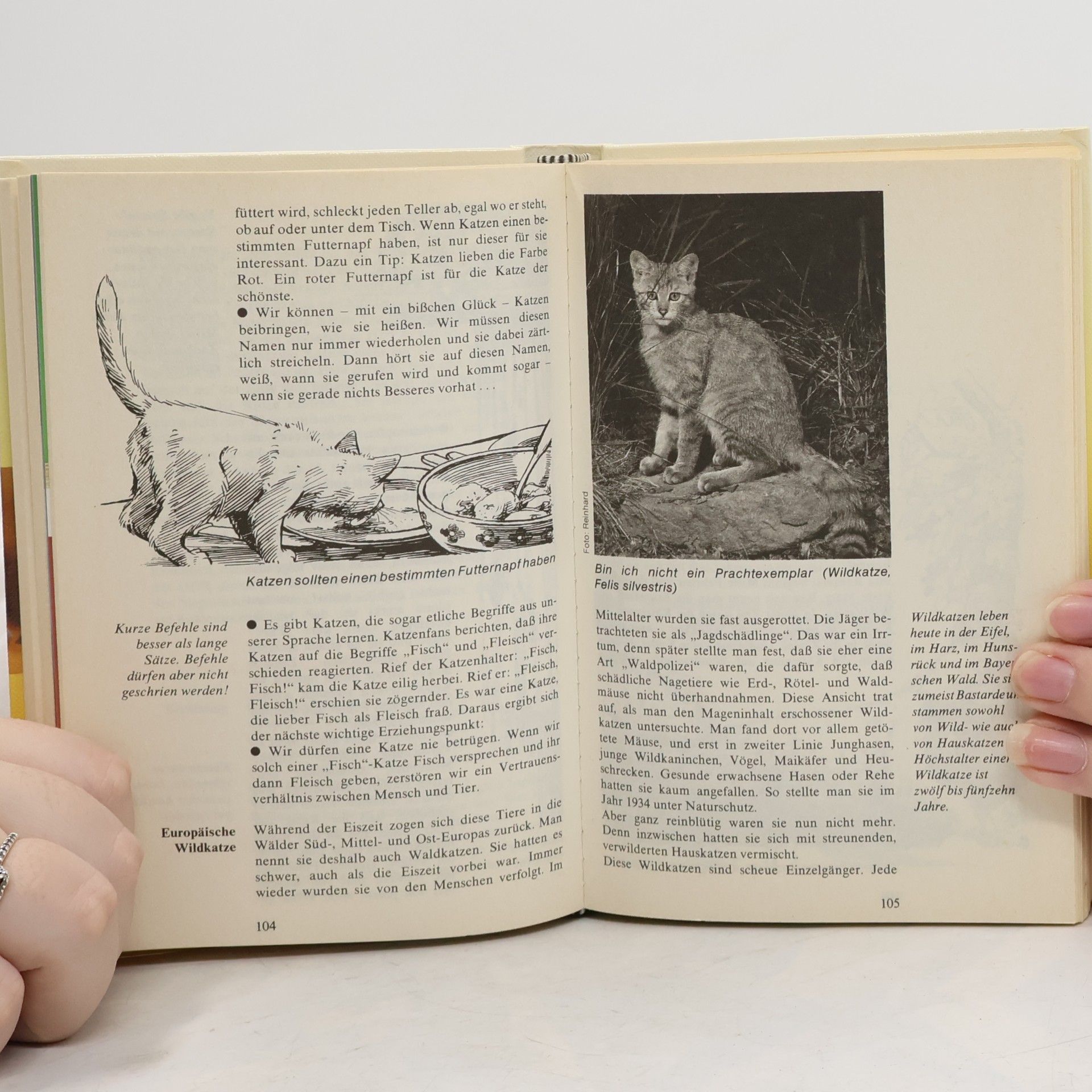 Dieter Conrads Katzen A - [bis] Z