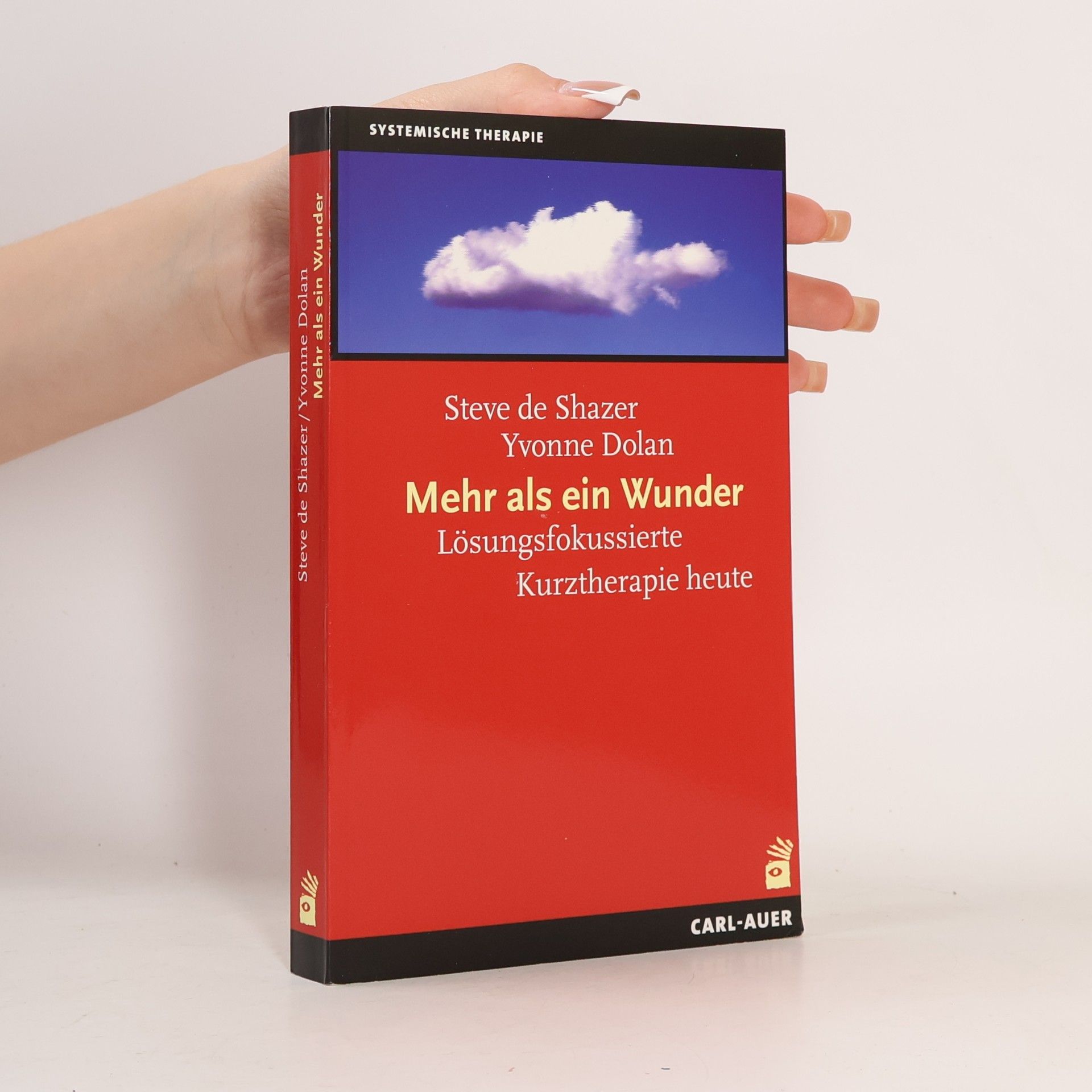 Steve de Shazer Mehr als ein Wunder