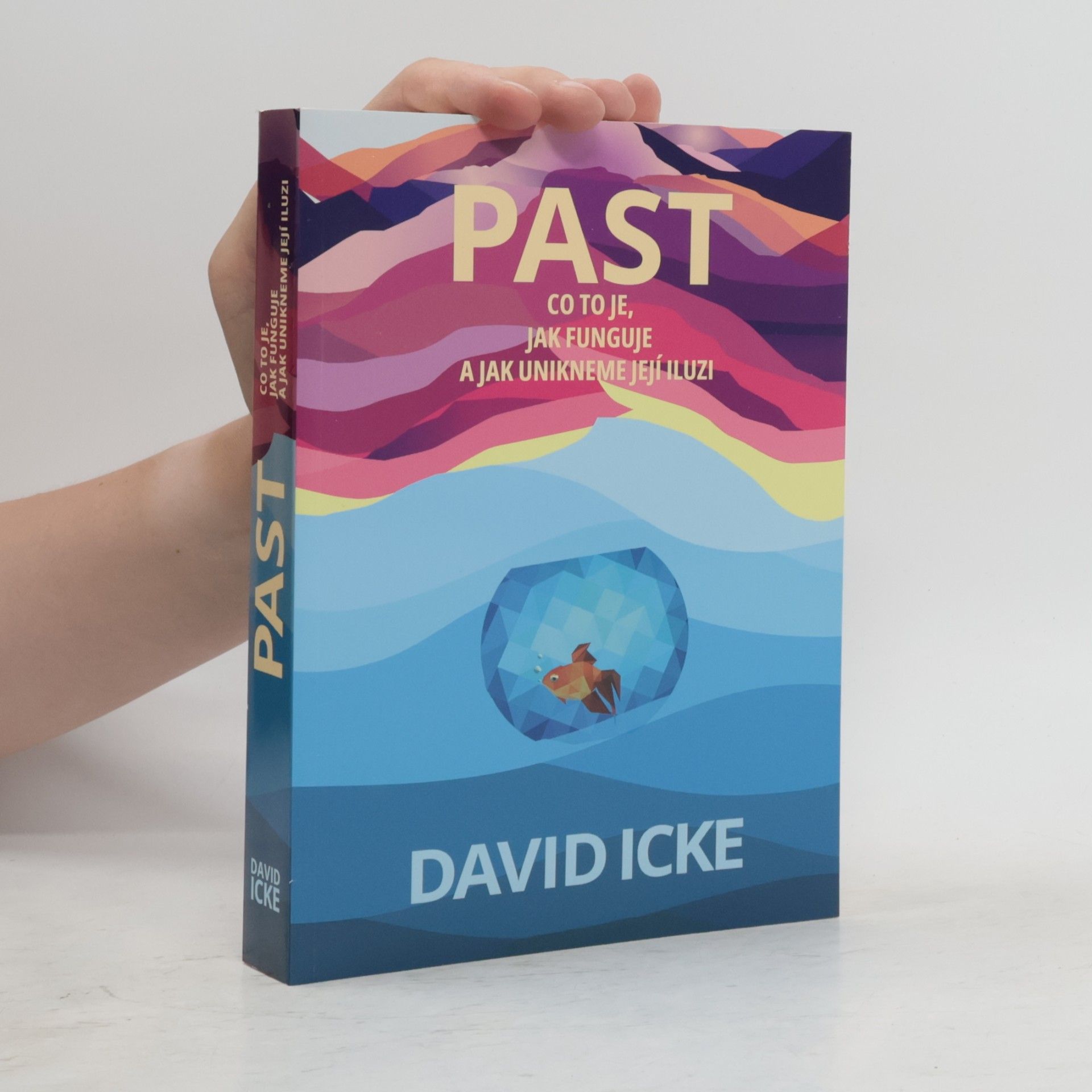 David Icke Past