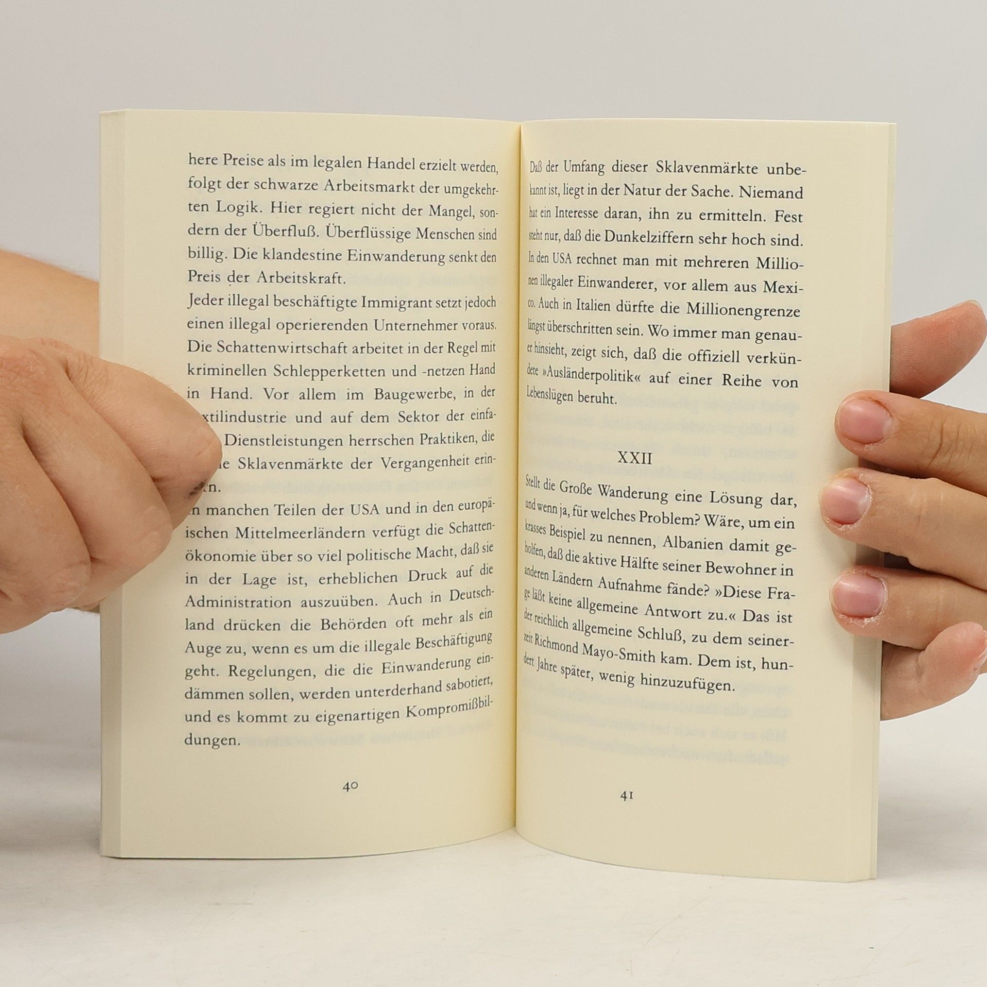 Hans Magnus Enzensberger Die grosse Wanderung