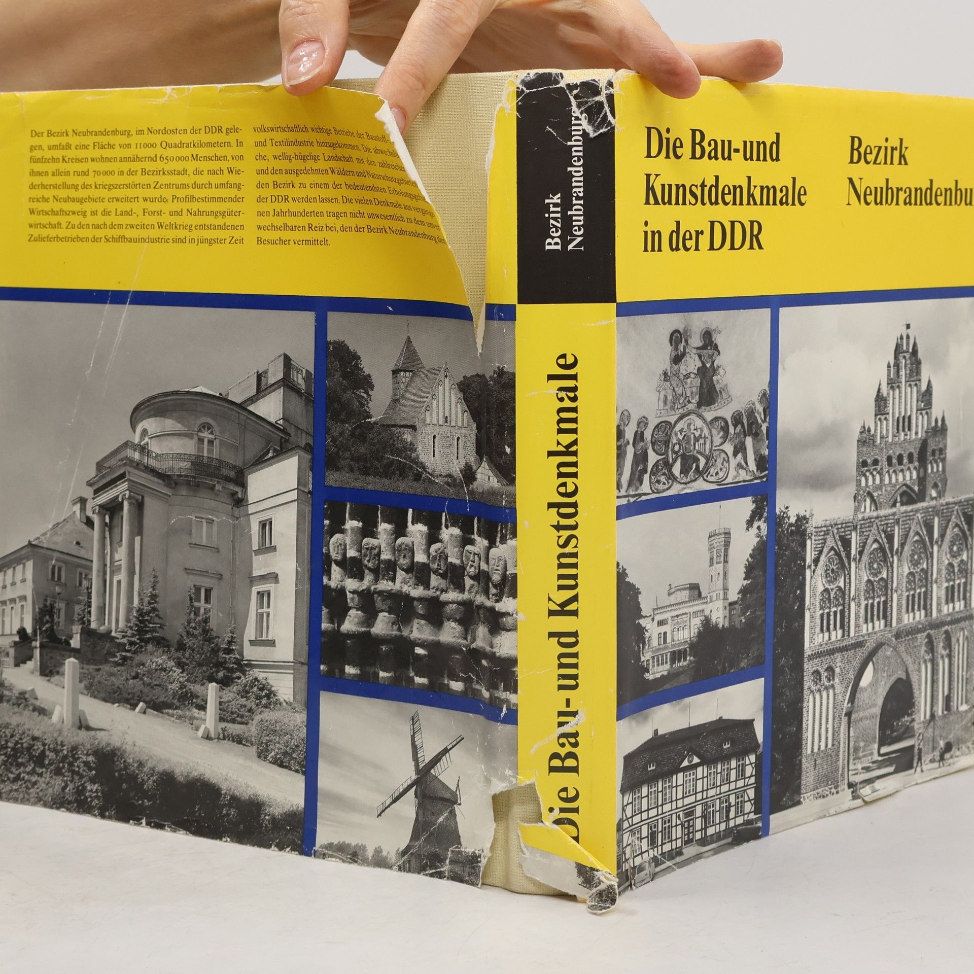 Autores varios Die Bau- und Kunstdenkmale in der DDR. Bezirk Neubrandenburg