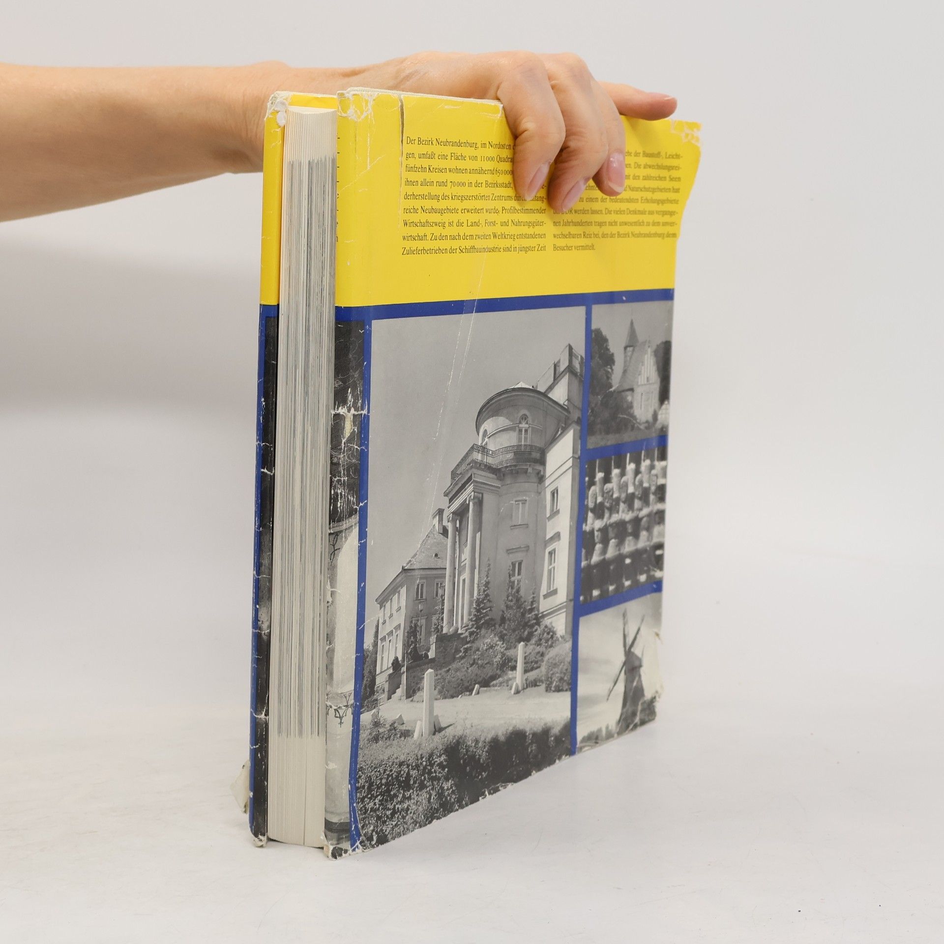 Autores varios Die Bau- und Kunstdenkmale in der DDR. Bezirk Neubrandenburg