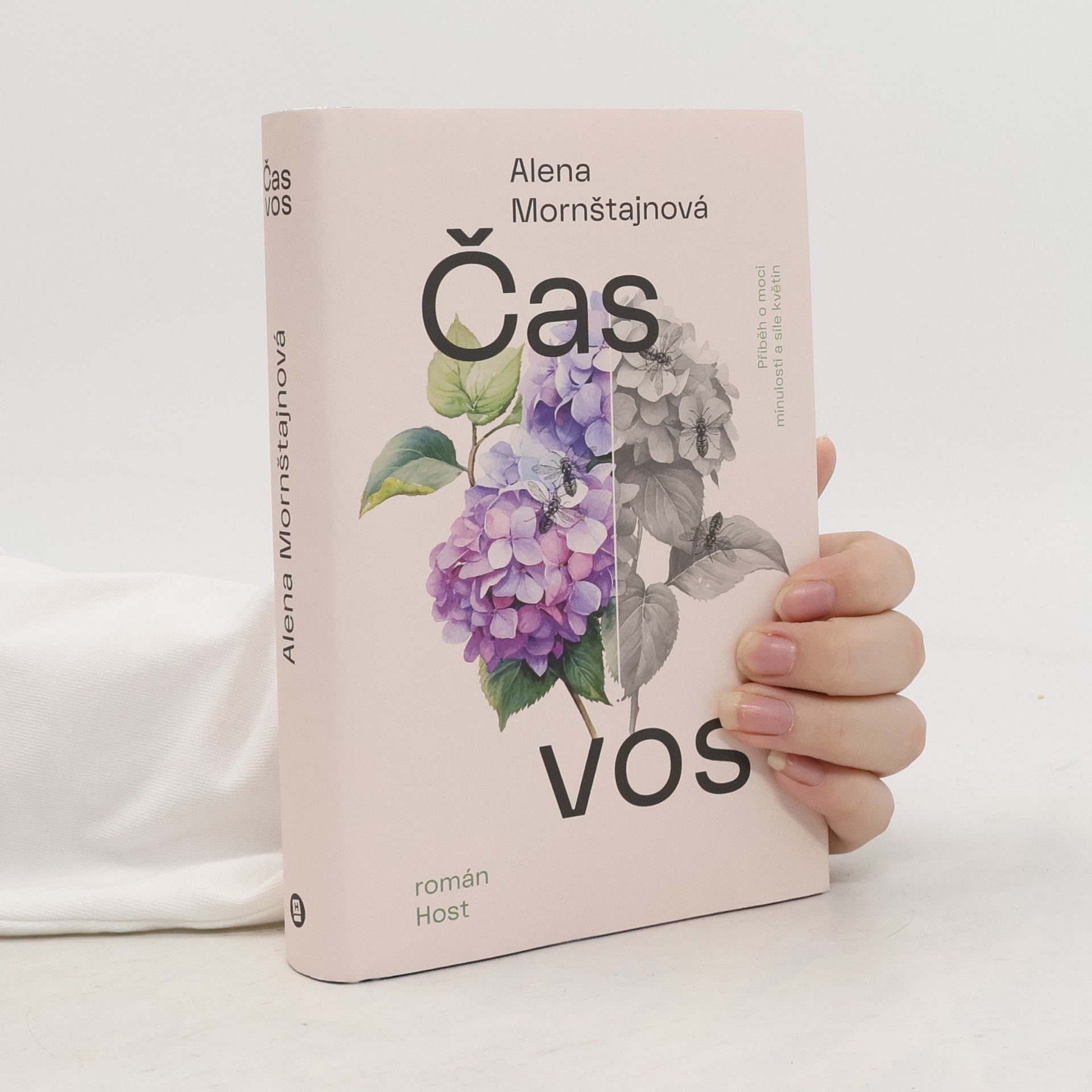 Alena Mornštajnová Čas vos