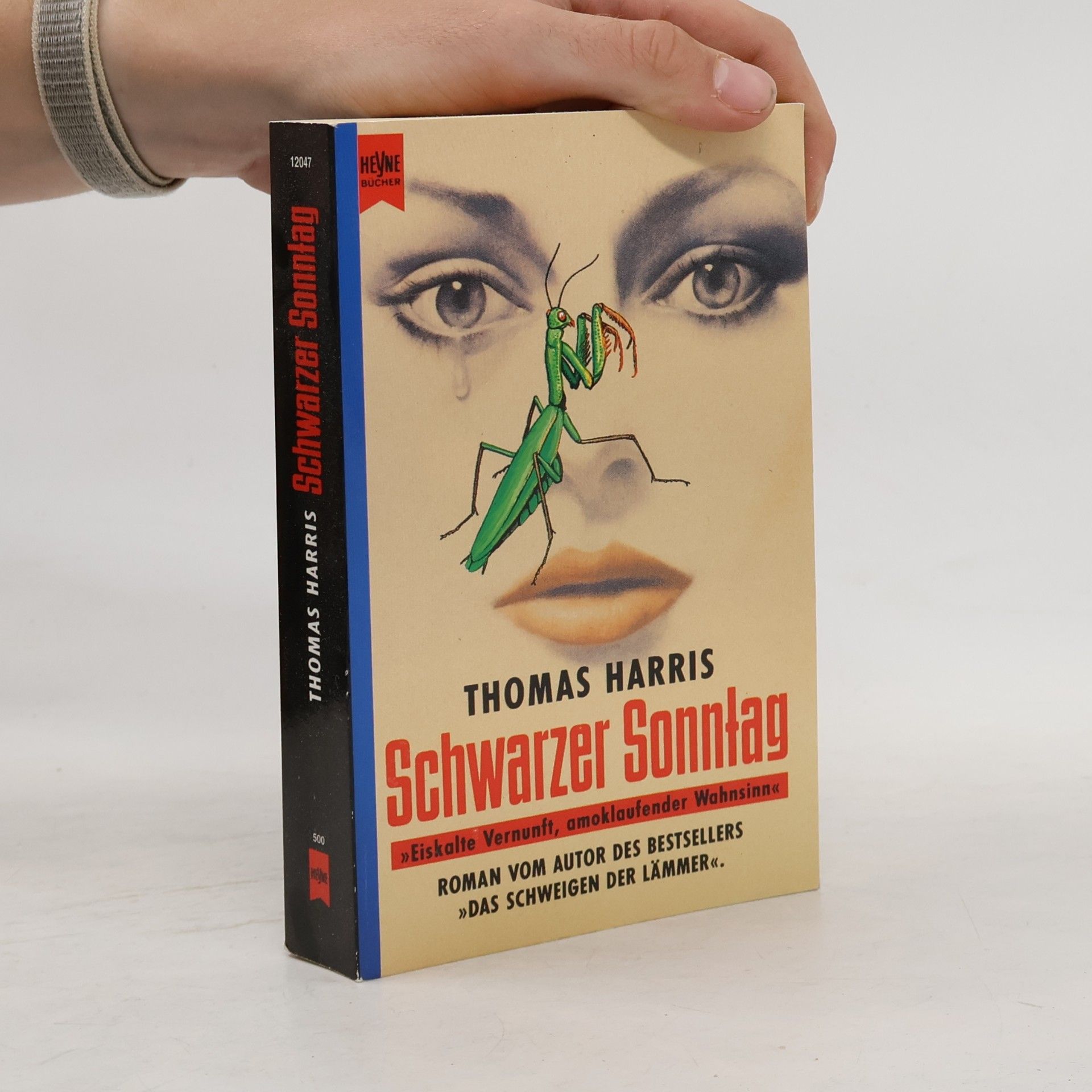 Thomas Harris Schwarzer Sonntag