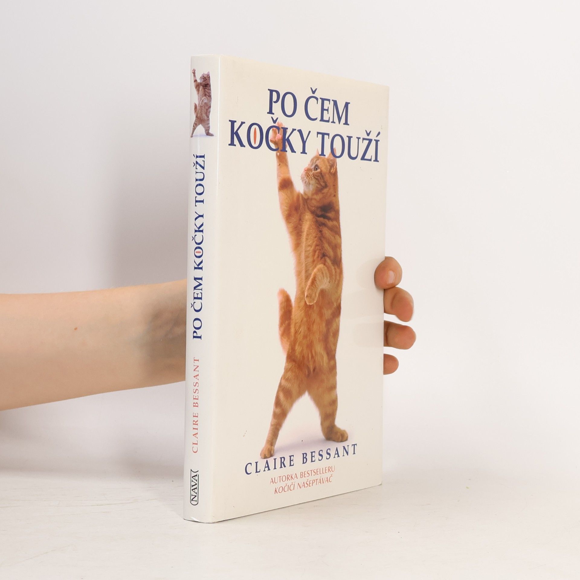 Claire Bessant Po čem kočky touží