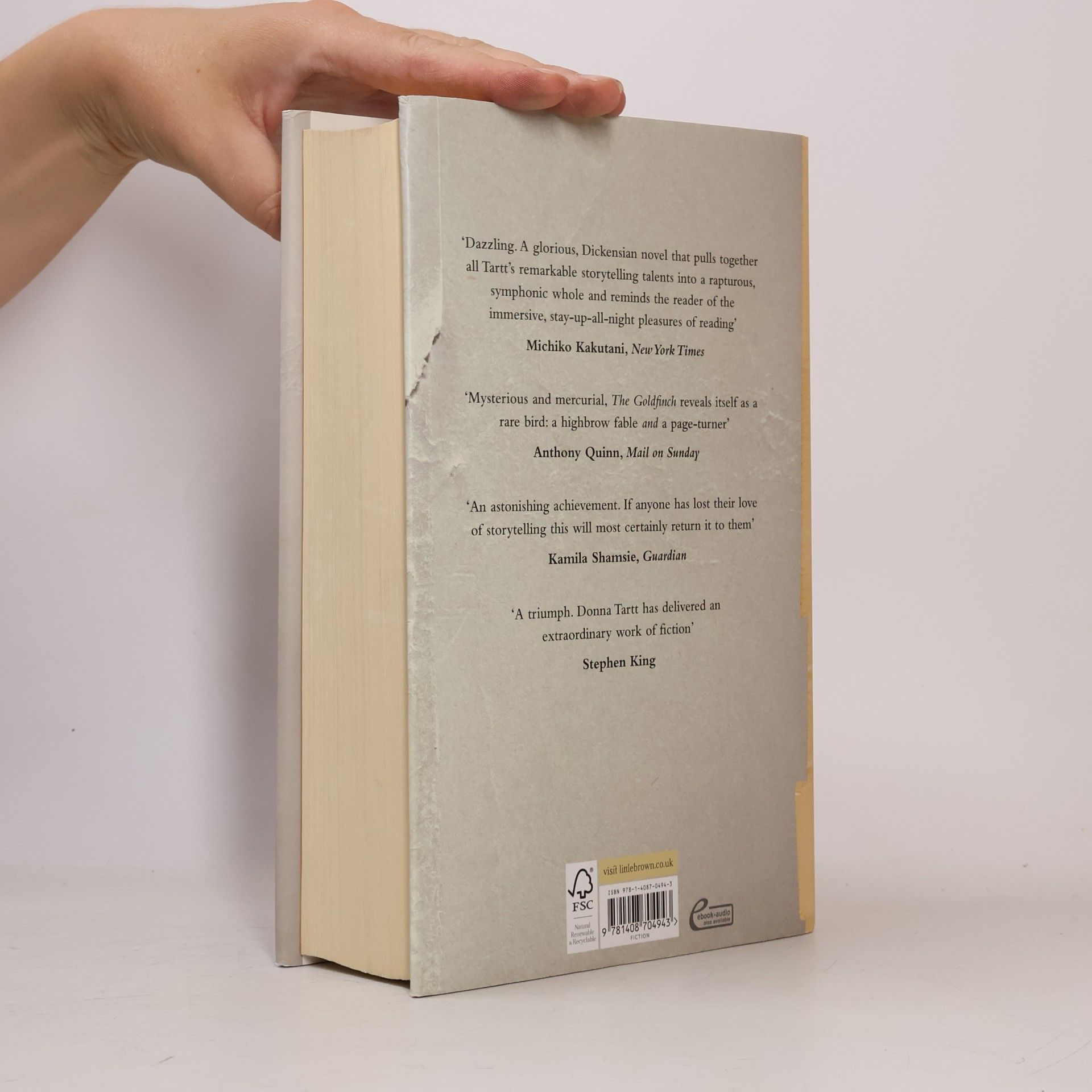 Donna Tartt The Goldfinch