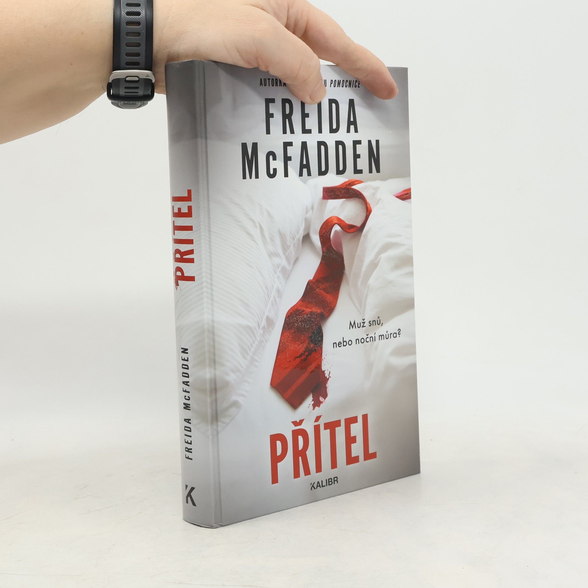 Freida McFadden Přítel