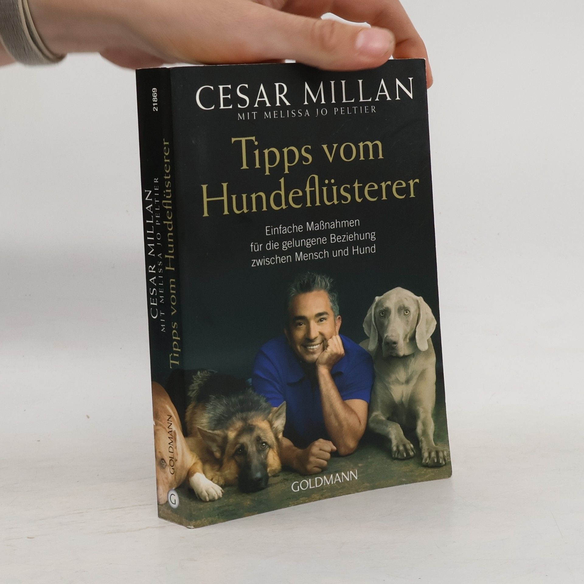 Cesar Millan Tipps vom Hundeflüsterer