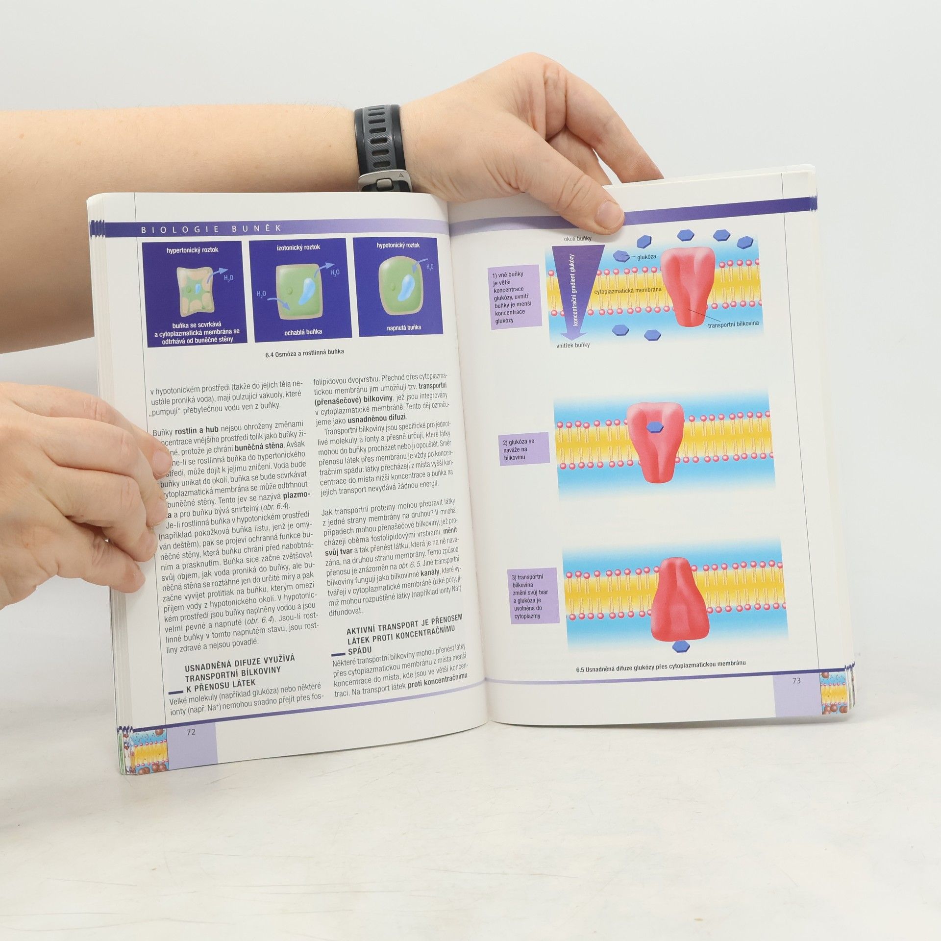 Radka Závodská Biologie buněk: Základy cytologie, bakteriologie, virologie