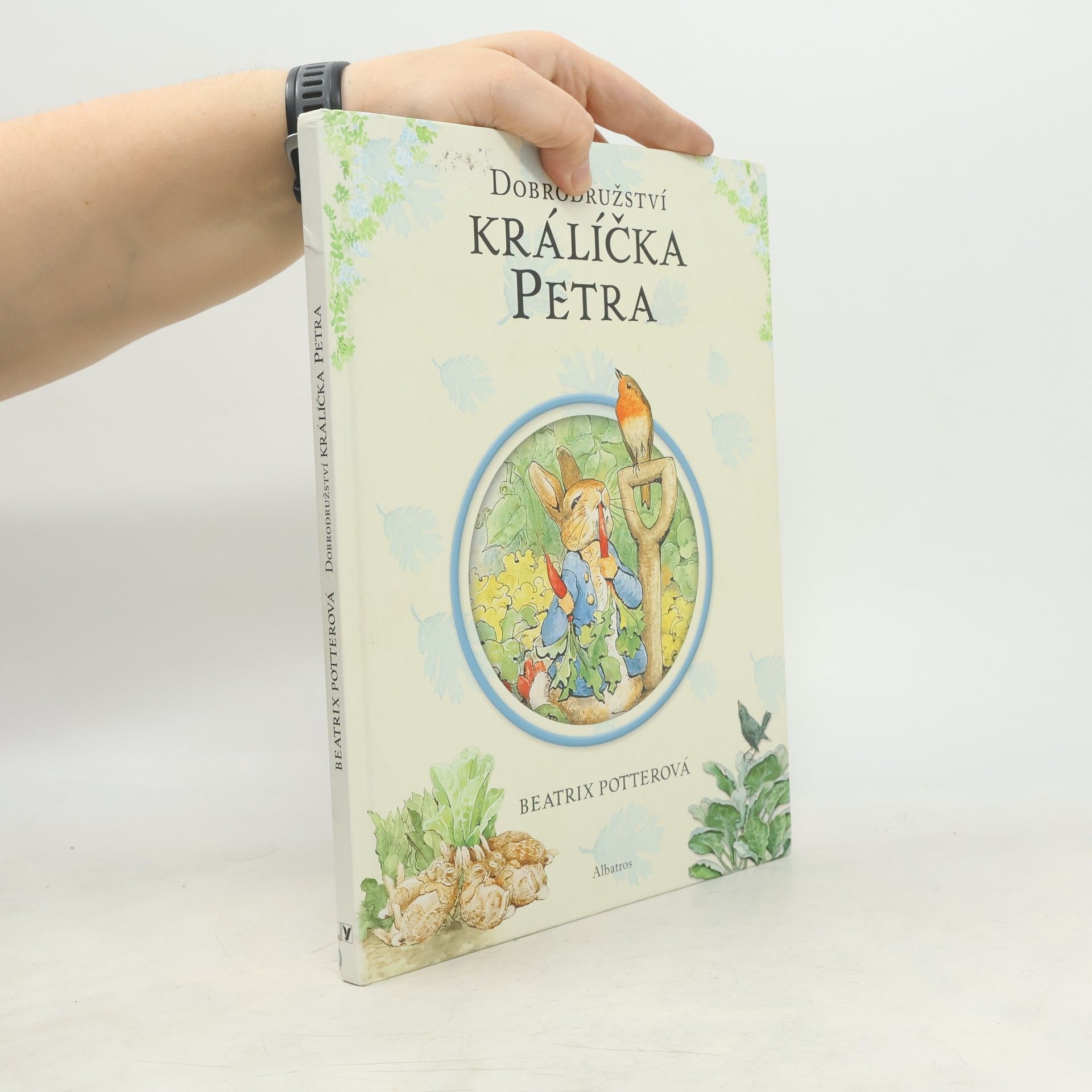 Beatrix Potter Dobrodružství králíčka Petra