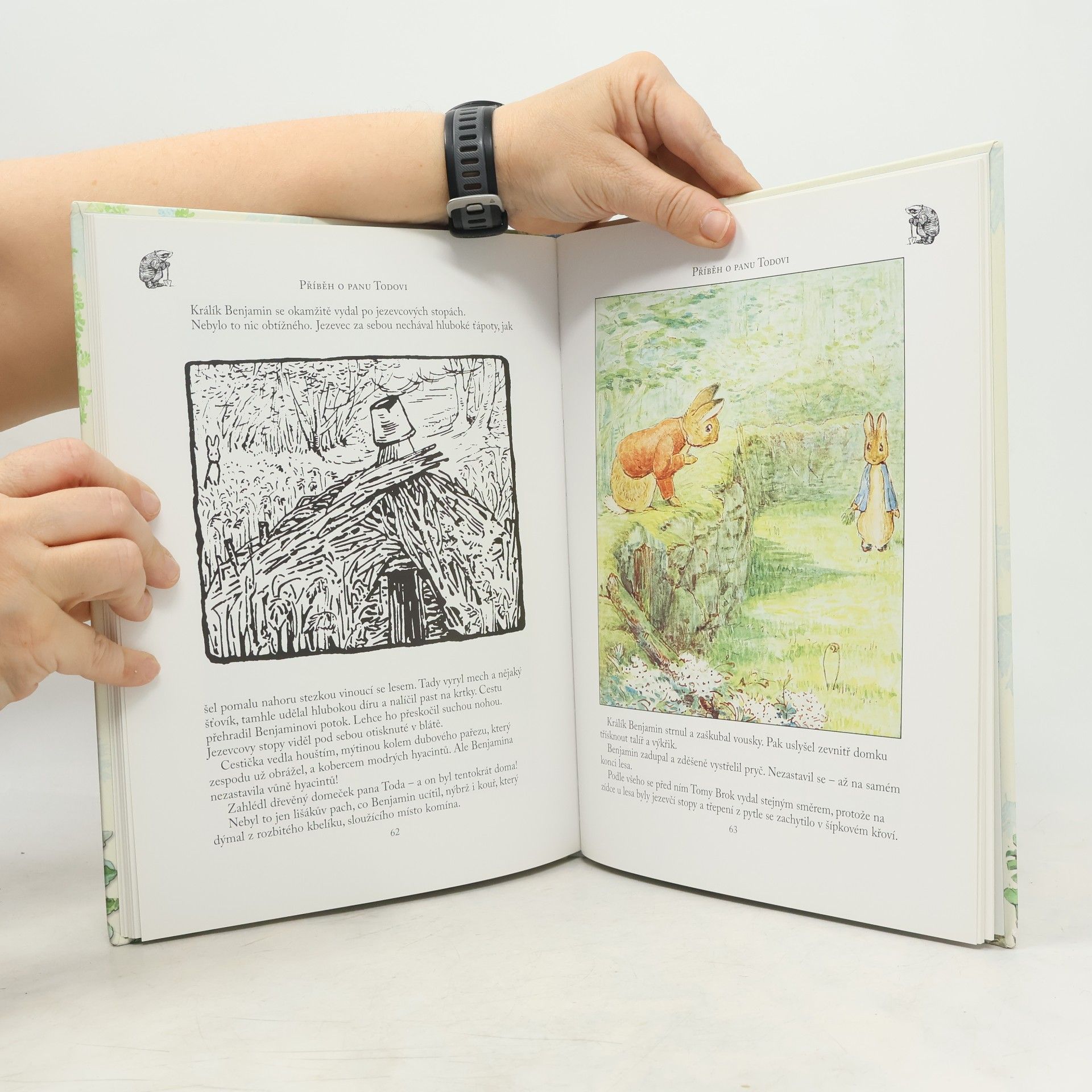 Beatrix Potter Dobrodružství králíčka Petra