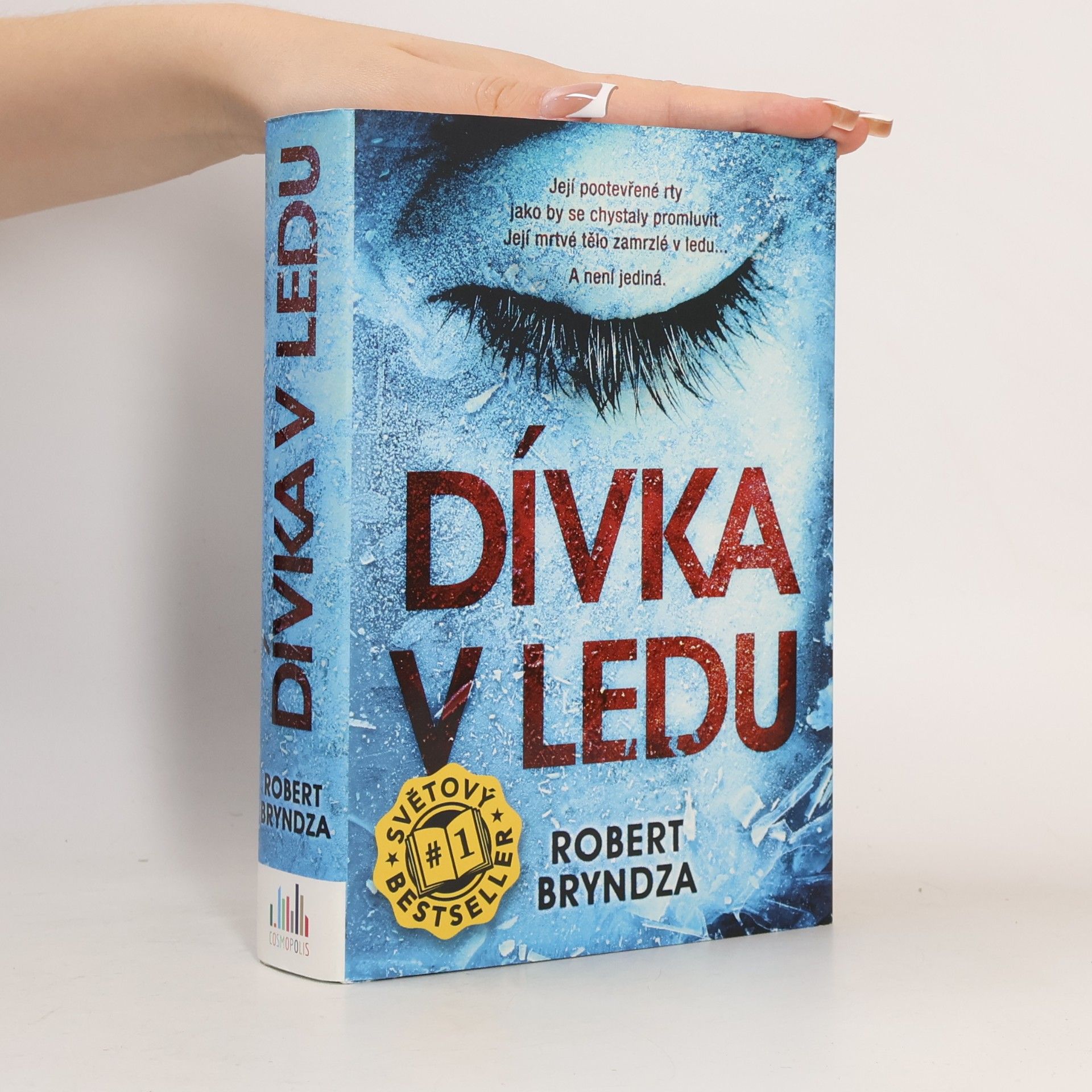 Robert Bryndza Dívka v ledu