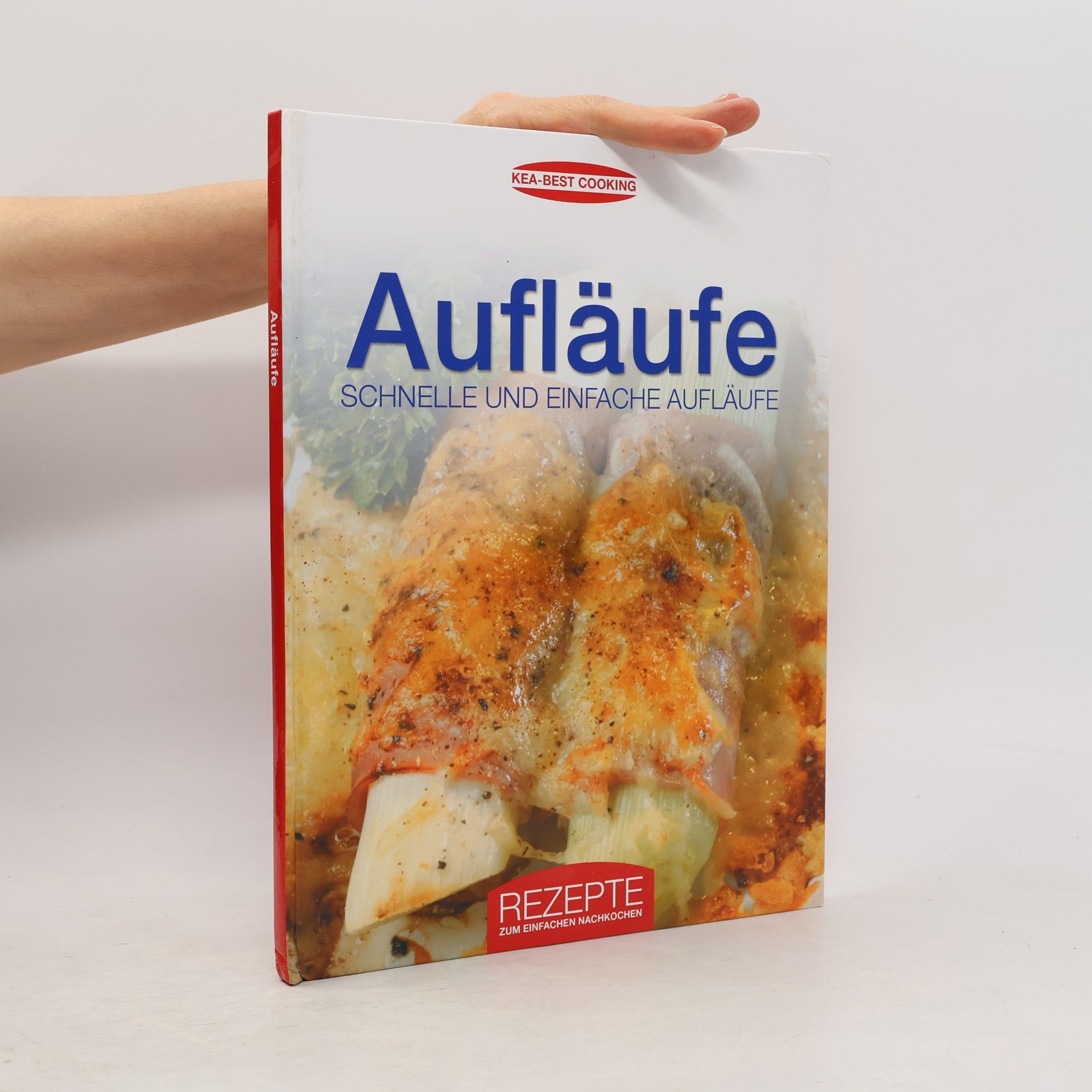 Kolektiv autorů Aufläufe schnelle und einfache Aufläufe
